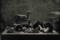 Don McCullin: Broken Beauty