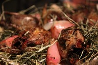 Roast Grouse with shallots served with Anya Gallacio&#39;s wine 
