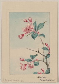 Charming Japanese Prints Depicting Geisha and Tea Ceremonies | AnOther