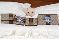 gucci-three-little-pigs-collection-08