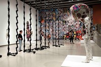 Installation view of Nick Cave works, In the Black