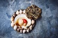 New Nordic: Cuisine, Aesthetics and Place