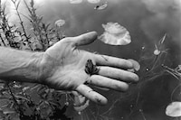 ManII05_M6_DavidWojnarowicz_09