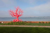 Fondazione Sandretto Re Rebaudengo: Isola di San Giacomo