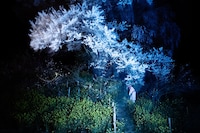 Kawada Kikuji and Iwane Ai at Japan House London