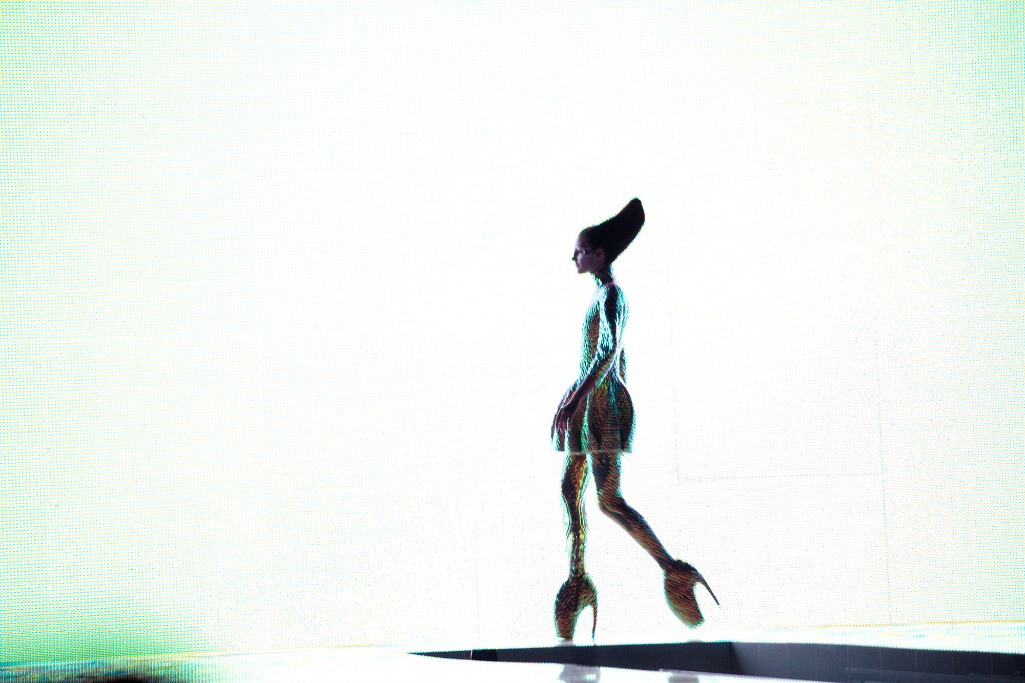 Jellyfish ensemble and Armadillo shoes, Alexander McQueen