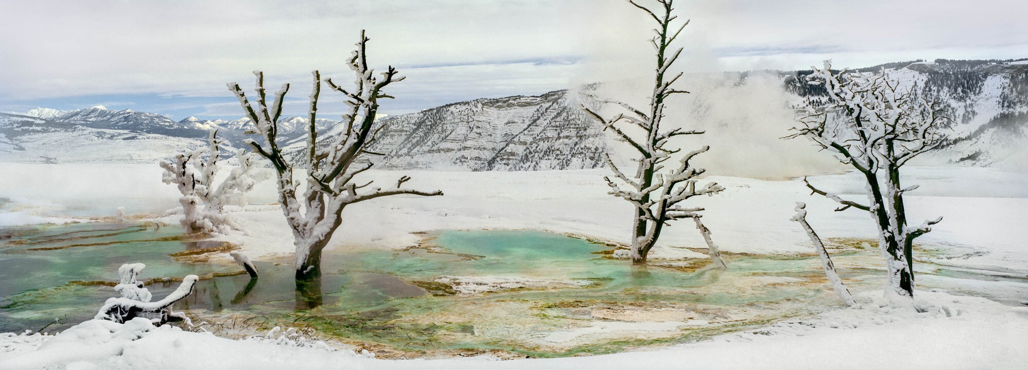 Mammoth Hot Springs, Yellowstone National Park
