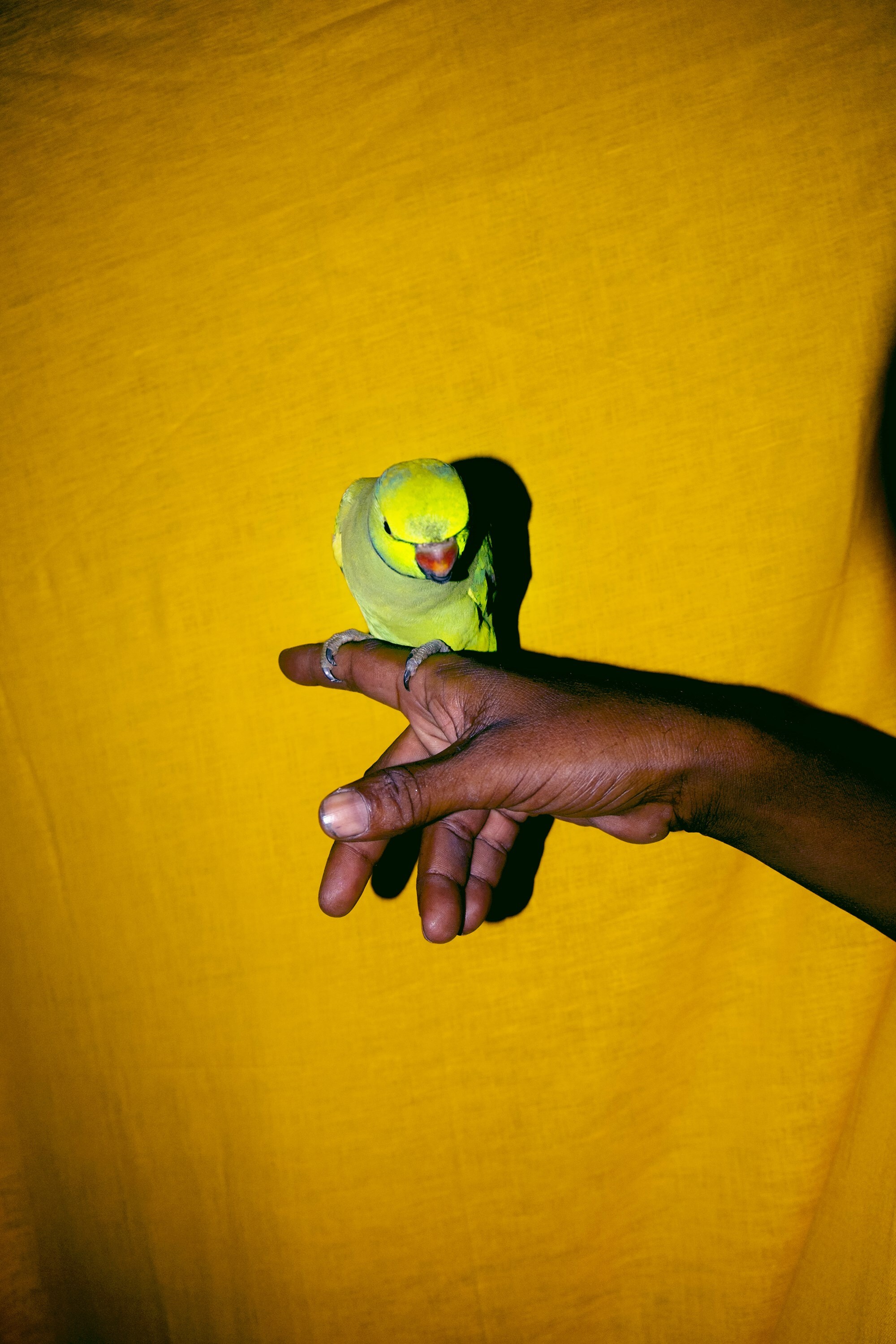 Sohrab Hura Photography Kiko Kostadinov Magnum Photos India