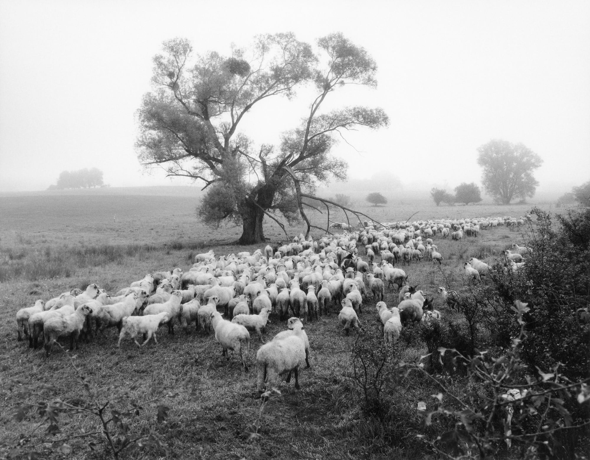 Jamie Hawkesworth A Short Pleasurable Journey Part Two 