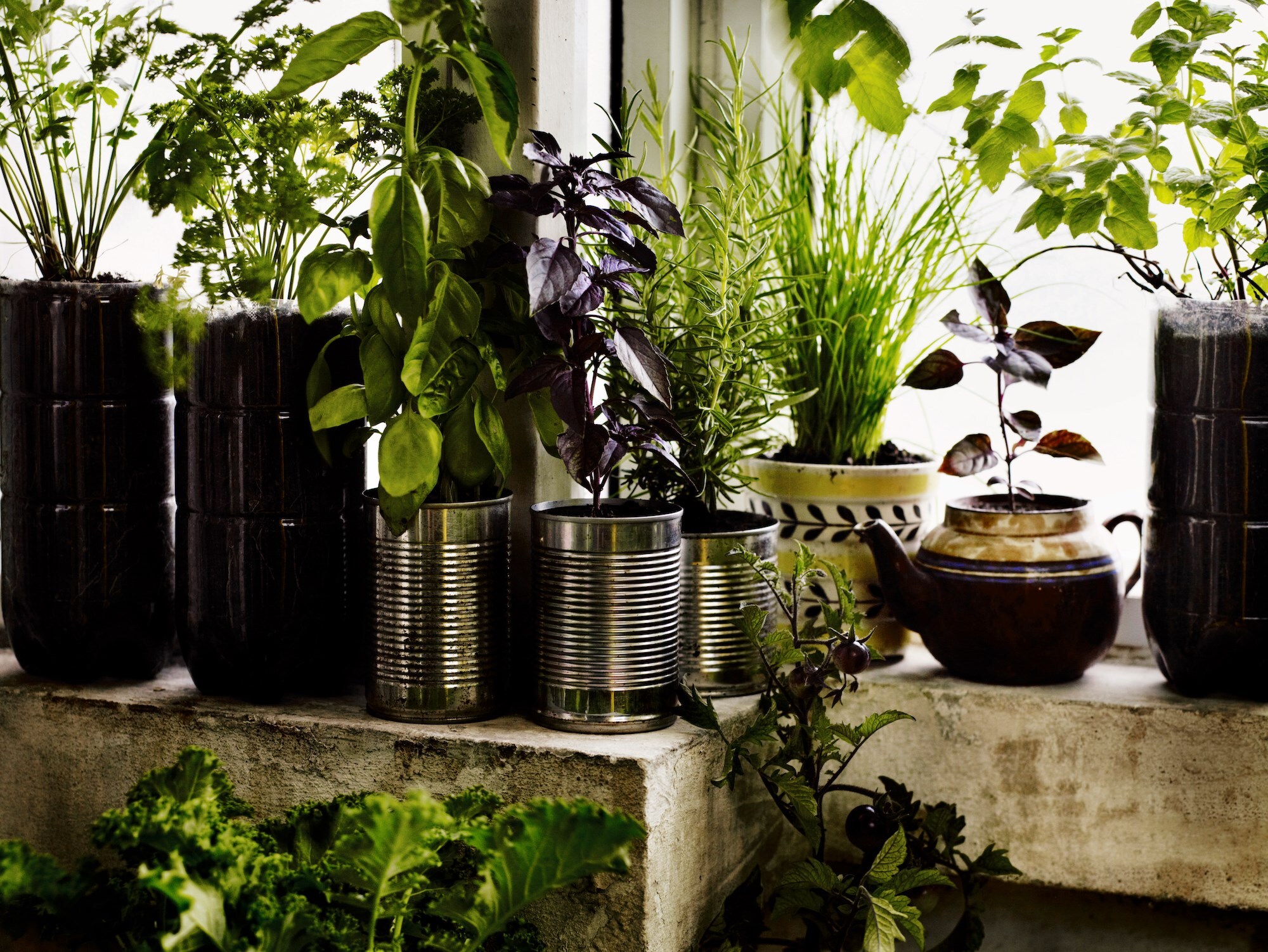 008-9 Great Dixter Andrew Montgomery. Courtesy Phaidon
