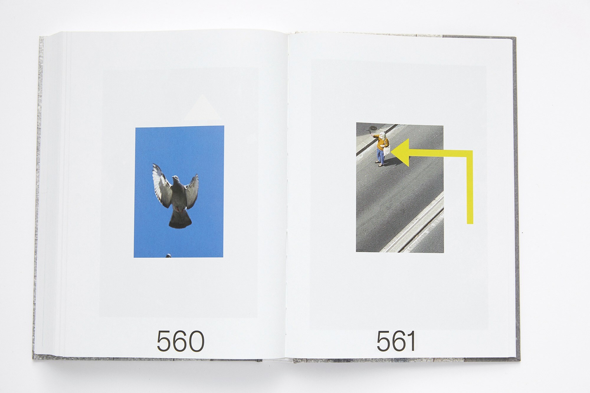 Thomas Book0833