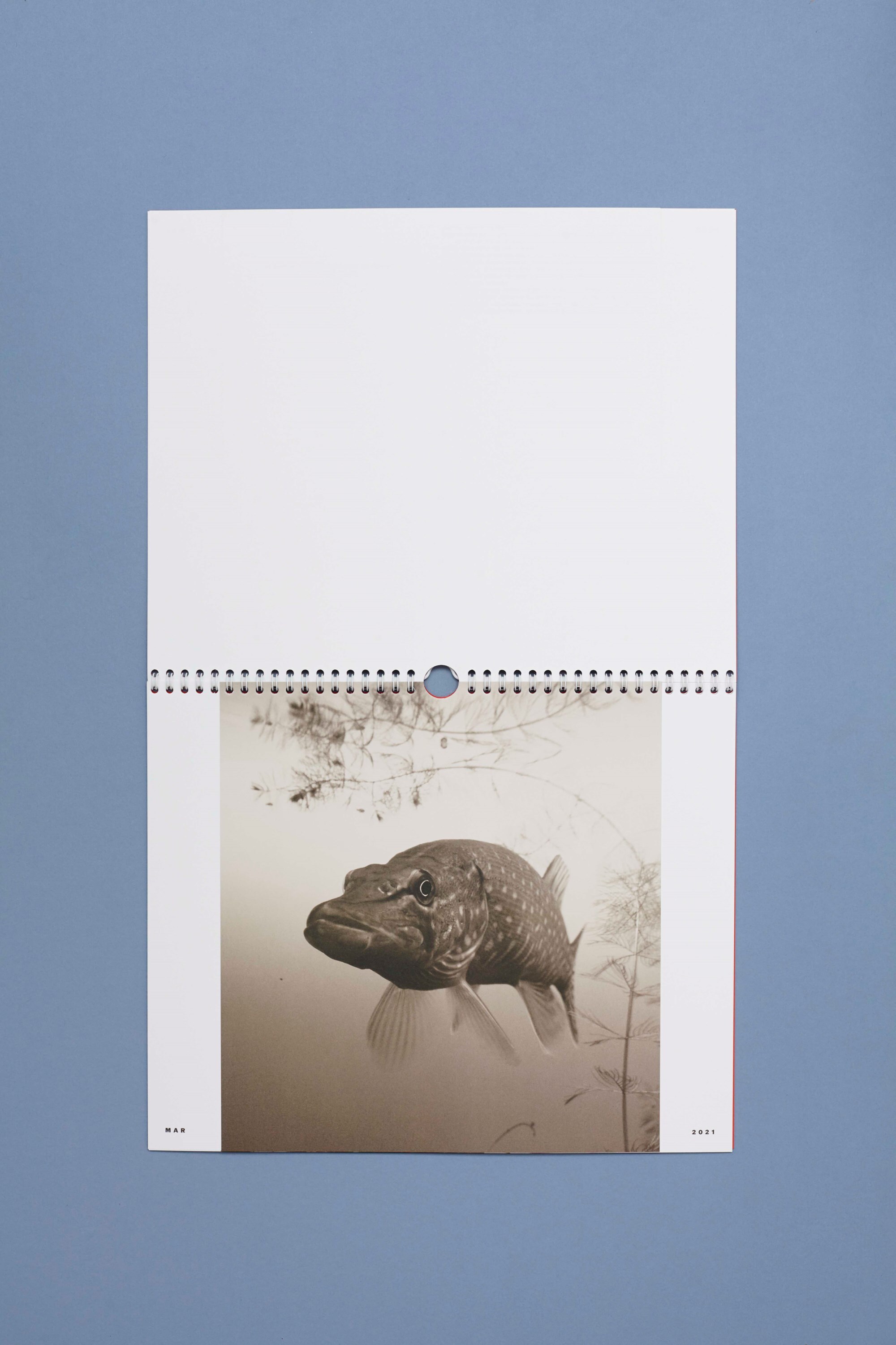 Oui_Non_Editions_Animal_Chronicles_05