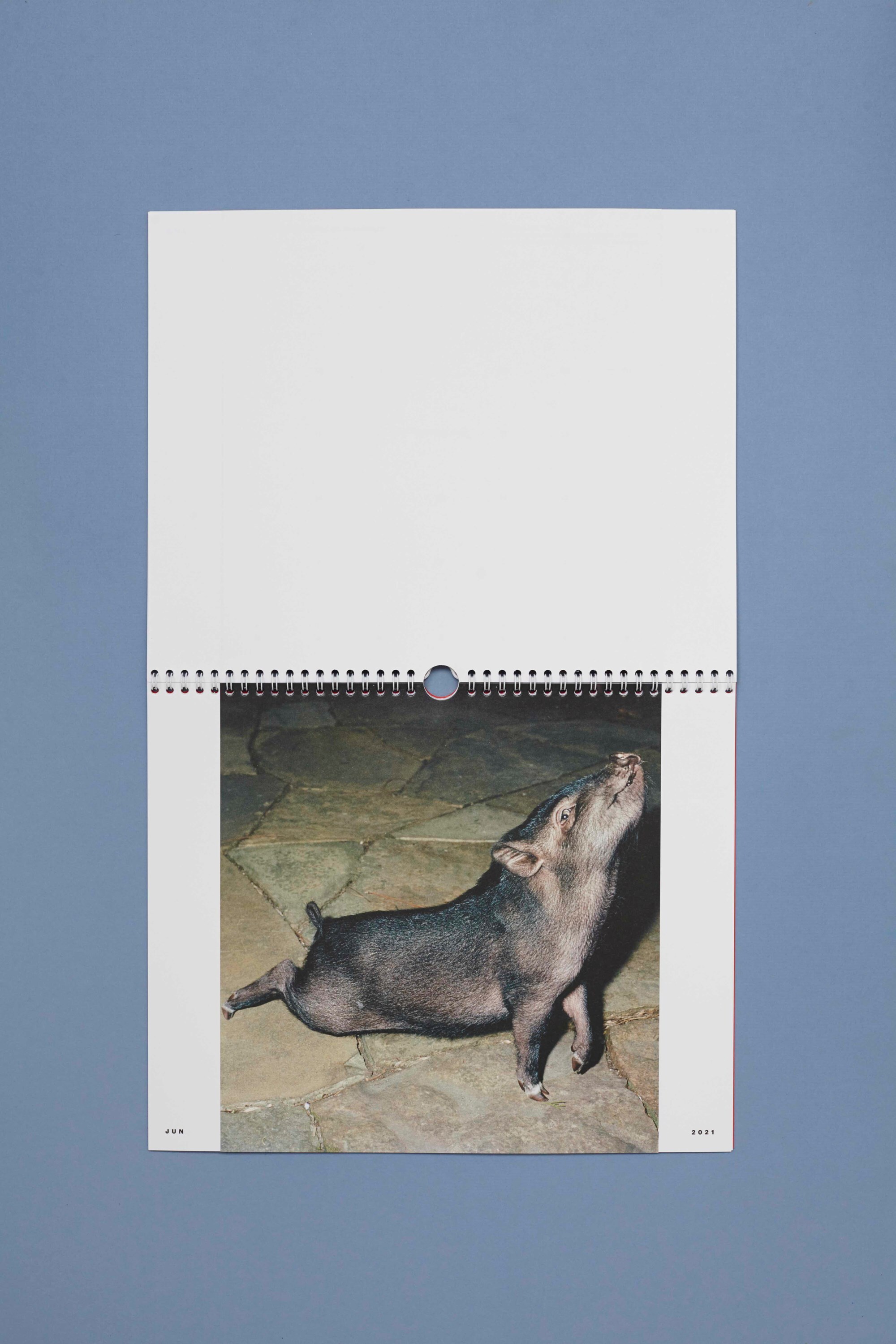 Oui_Non_Editions_Animal_Chronicles_08