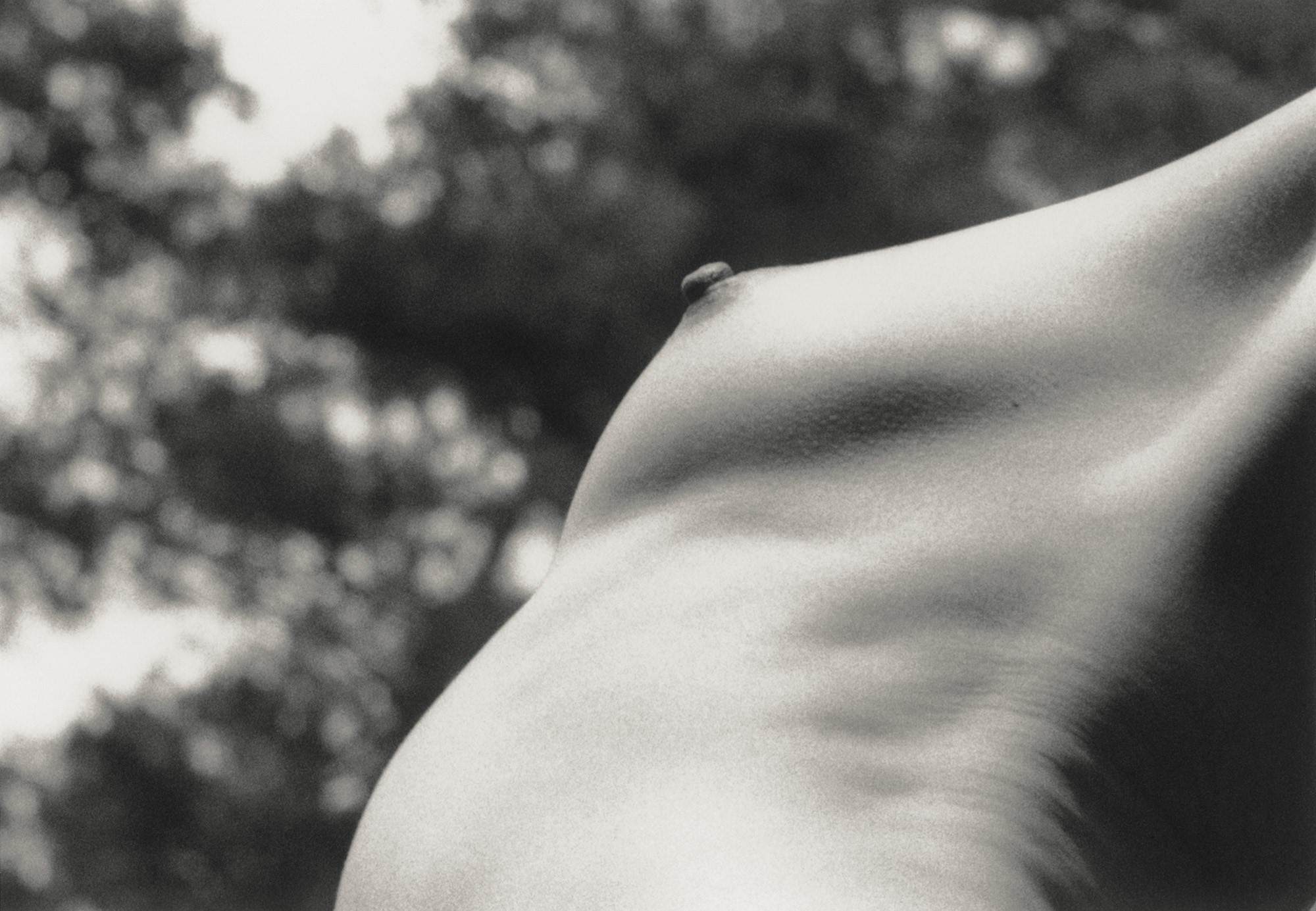 A Photographer Captures the Comforting Experience of Posing Nude in Nature  | AnOther