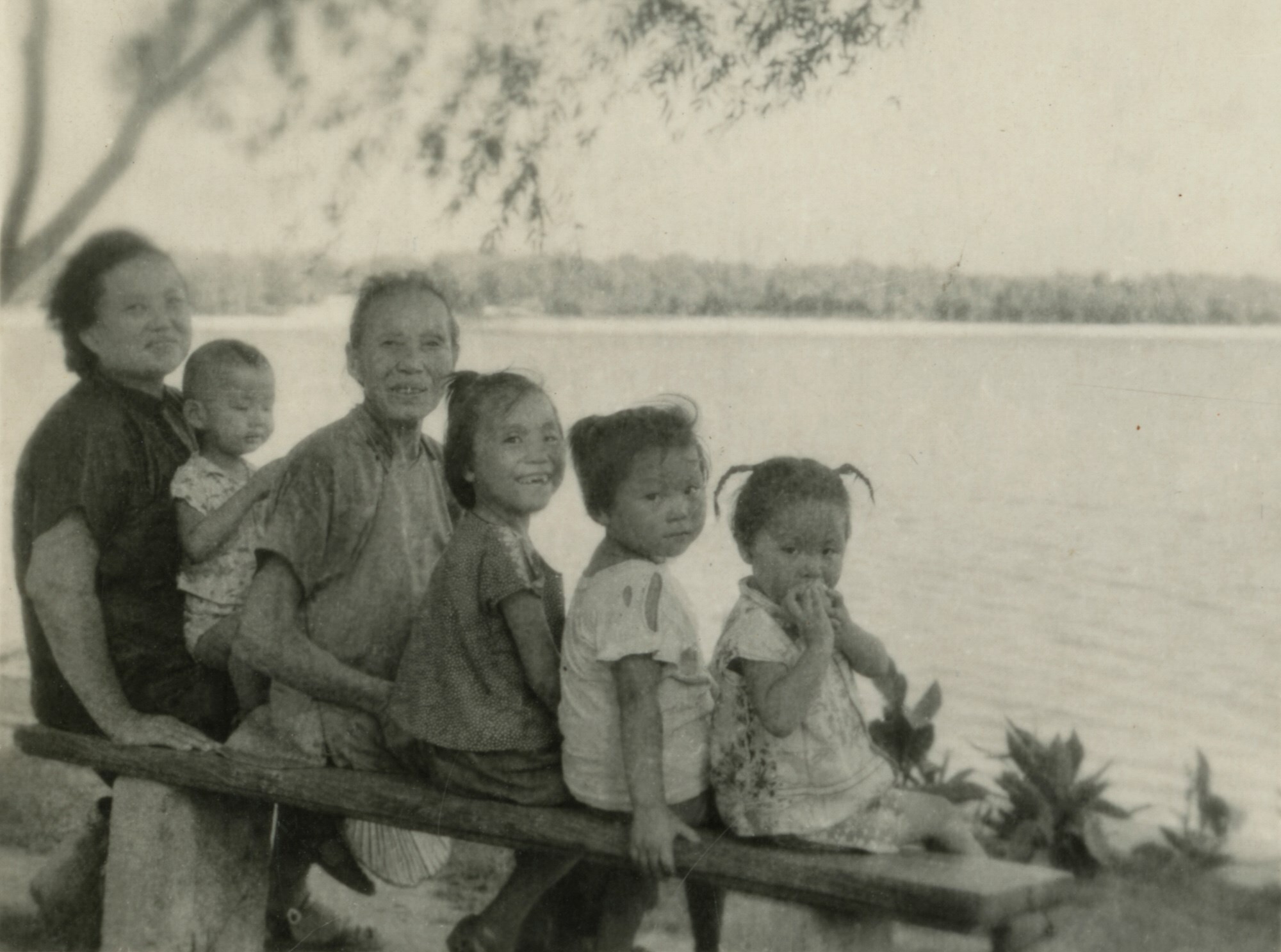 Untitled from History of Life Cai Dongdong book