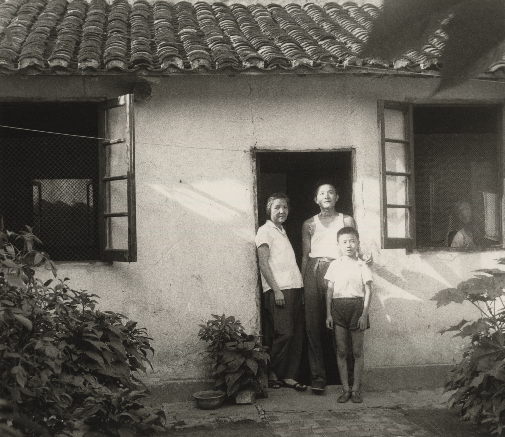 Untitled from History of Life Cai Dongdong book
