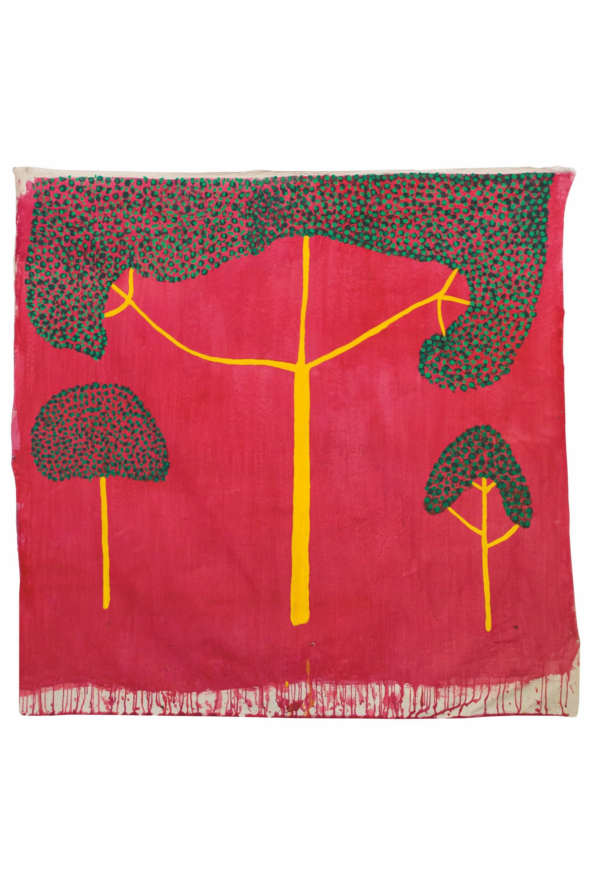 The Yanomami Struggle The Shed Claudia Andujar