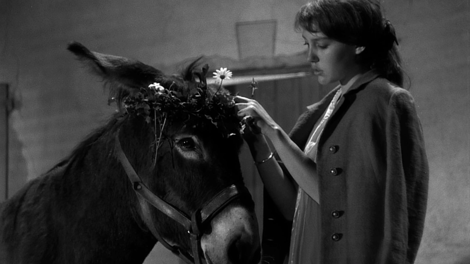Au Hasard Balthazar