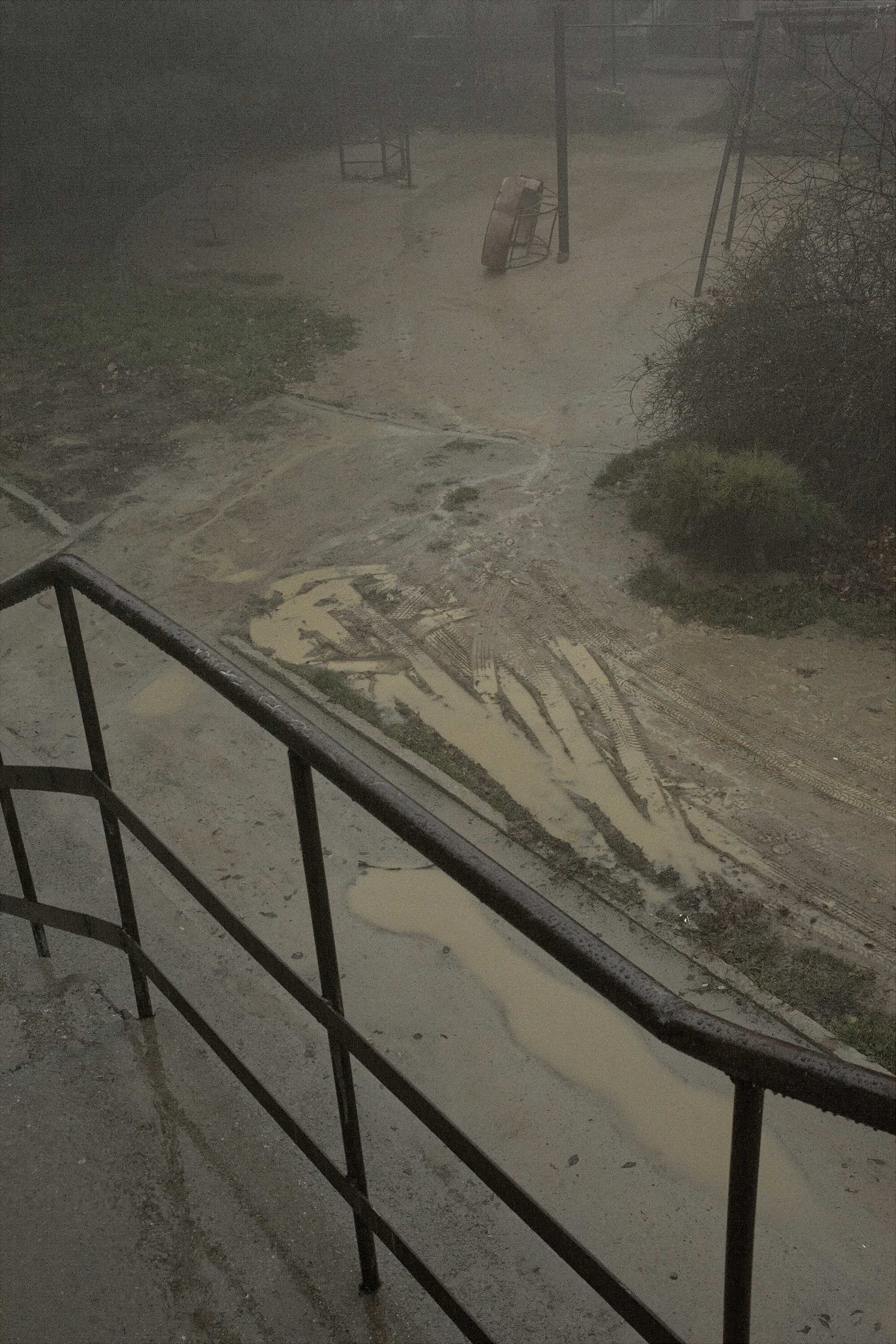 Boris Savelev: A Way of Looking
