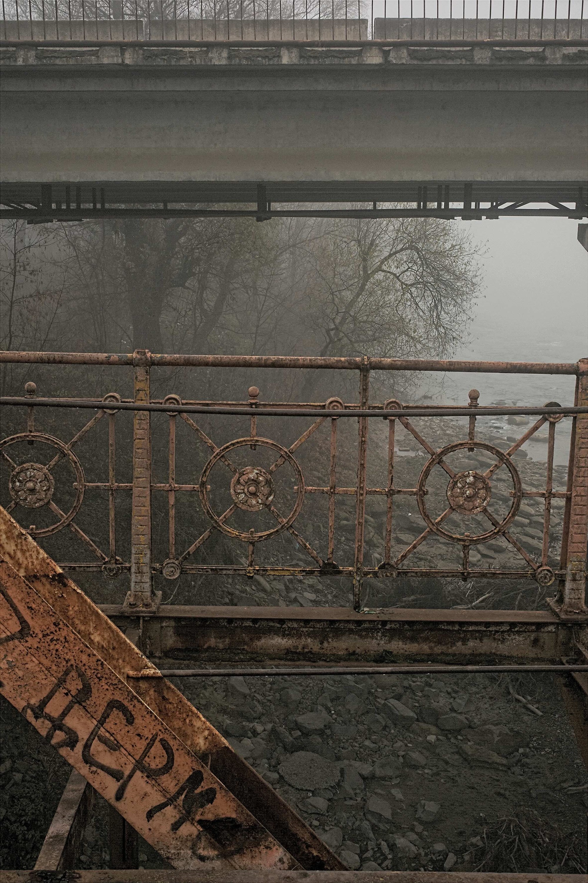 Boris Savelev: A Way of Looking