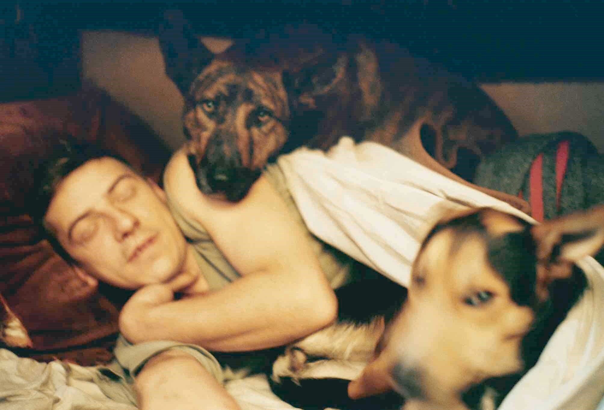 Vinca Petersen, Scott &amp; Dogs. Copyright Vinca Pete