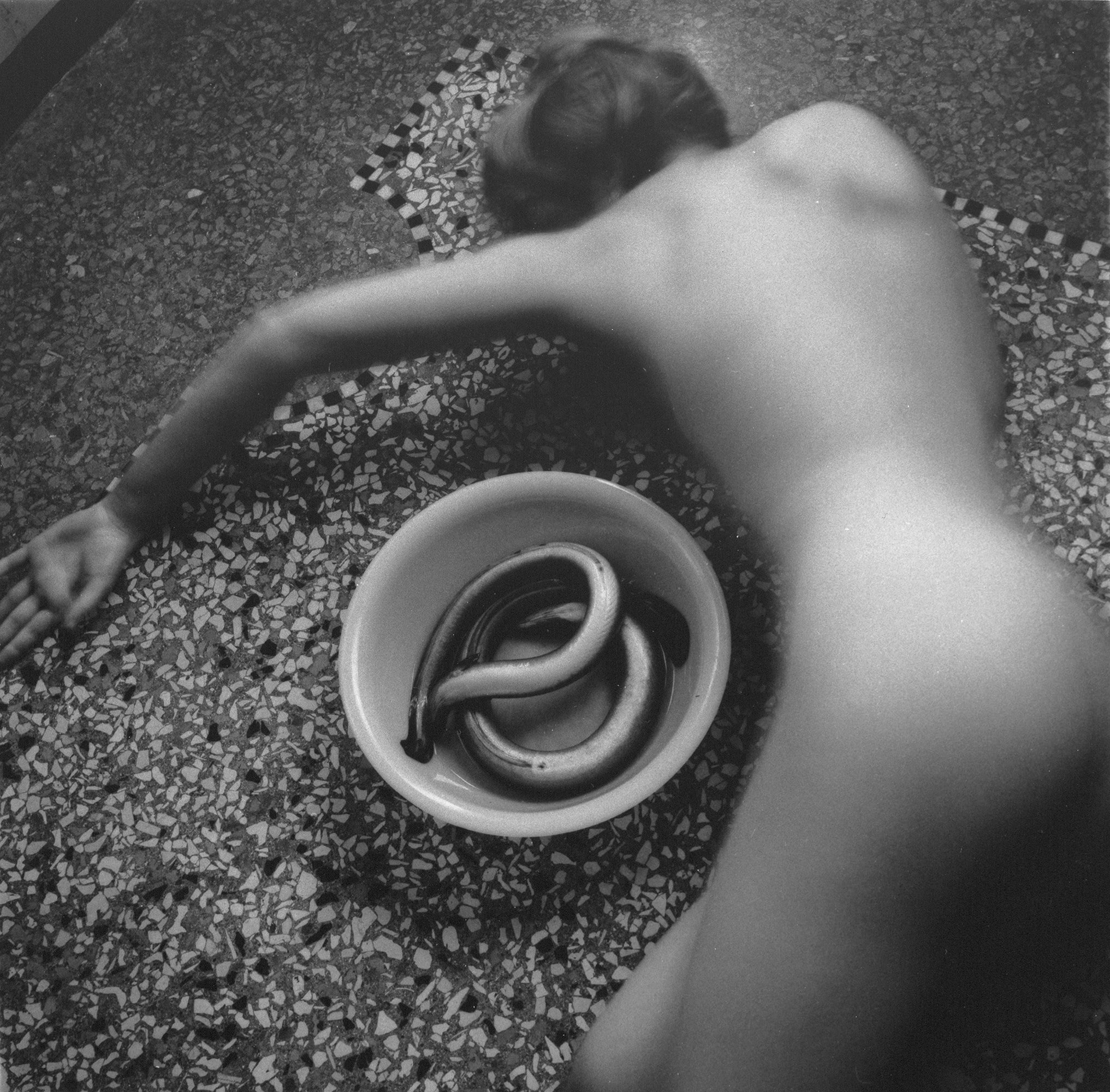 FW708_From-Eel-Series,-Venice,-Italy_1978-(I.217)