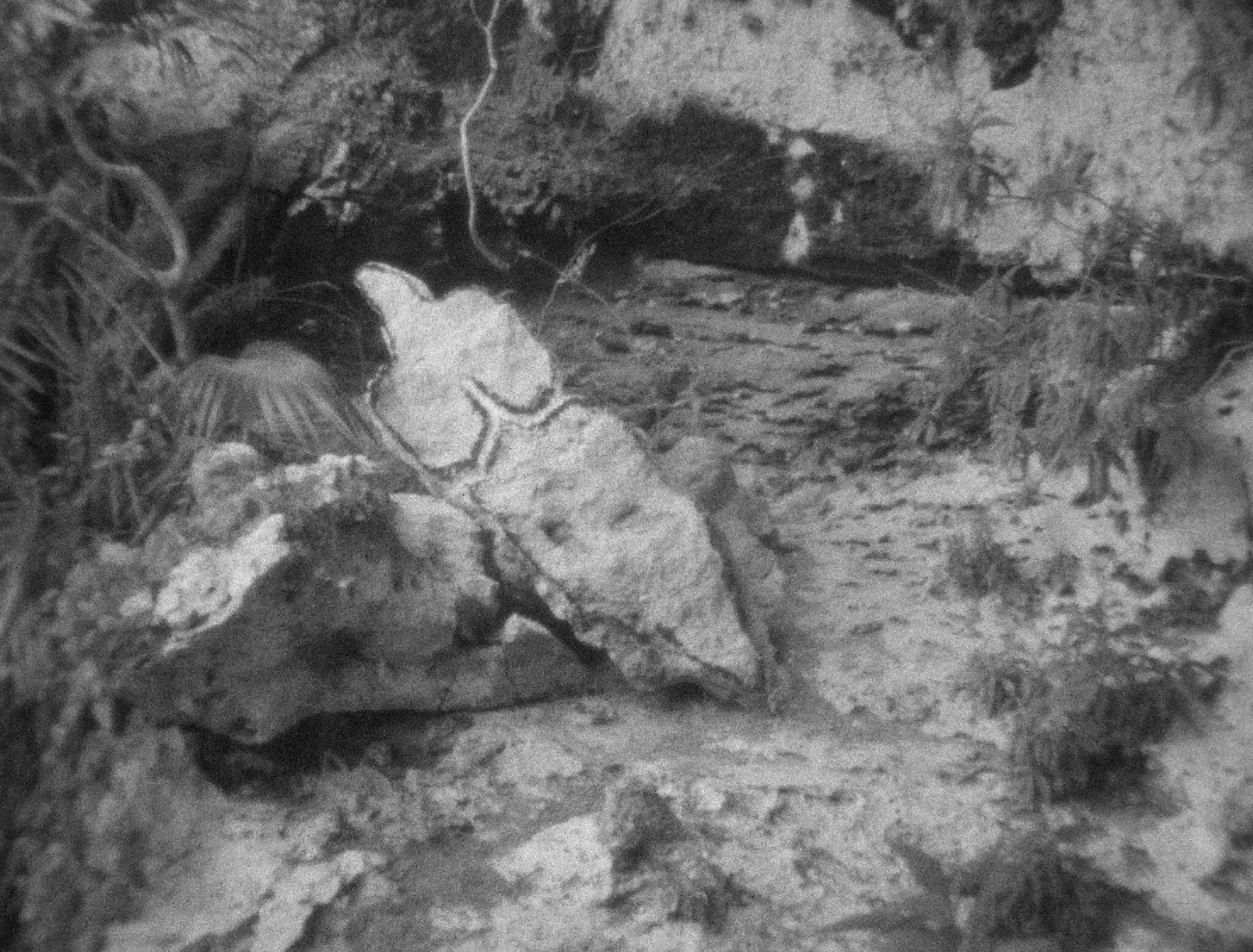 GP 1935 - Esculturas Rupestres (Rupestrian Sculptu