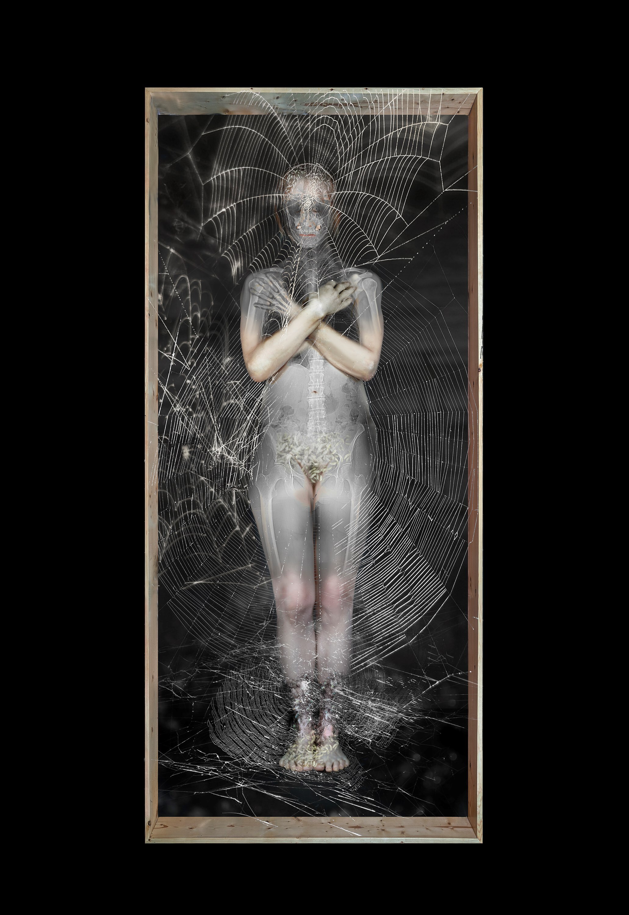 My Body in a Box Penny Slinger