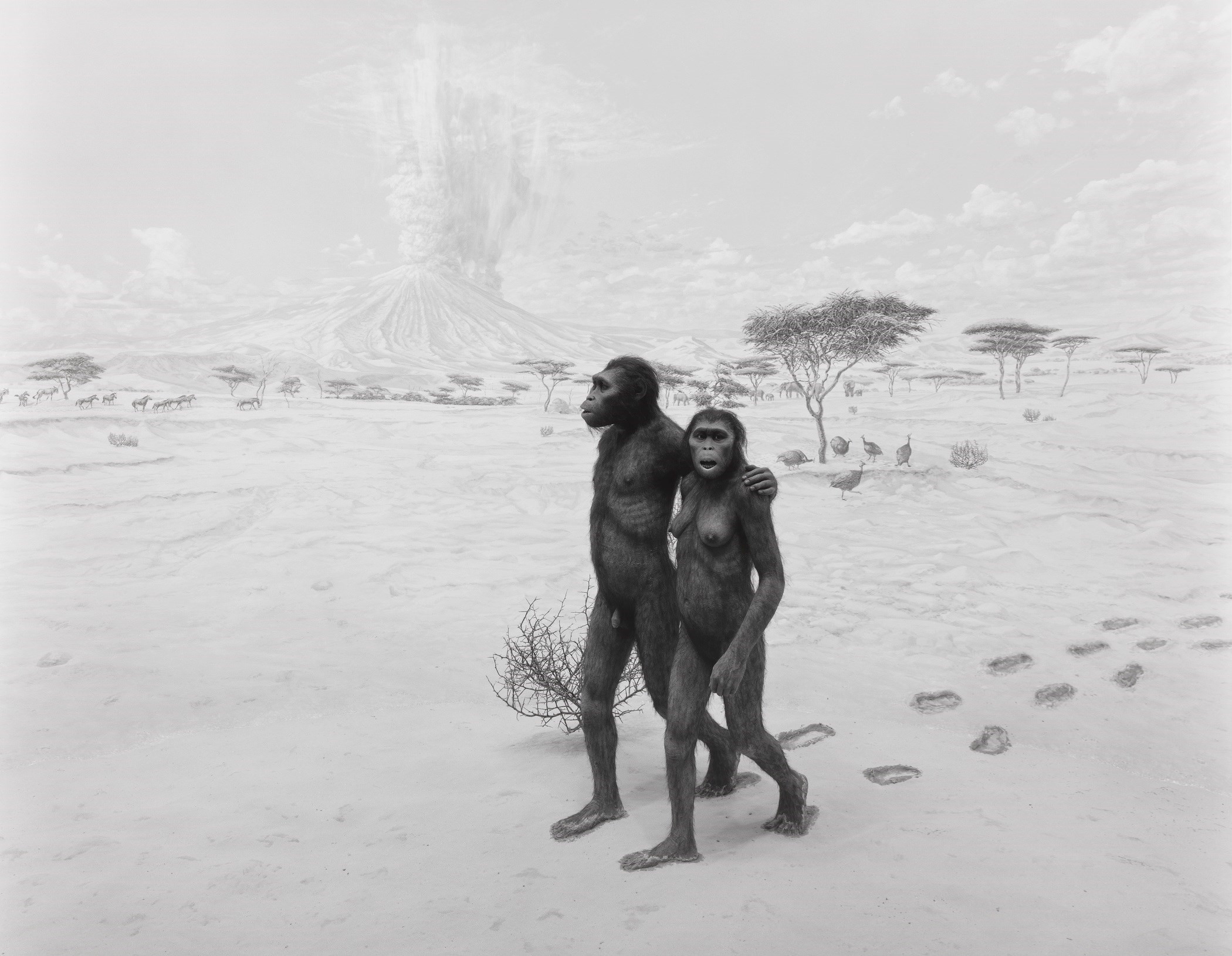 Hiroshi Sugimoto, the Photographer Visualising Our Distant Past