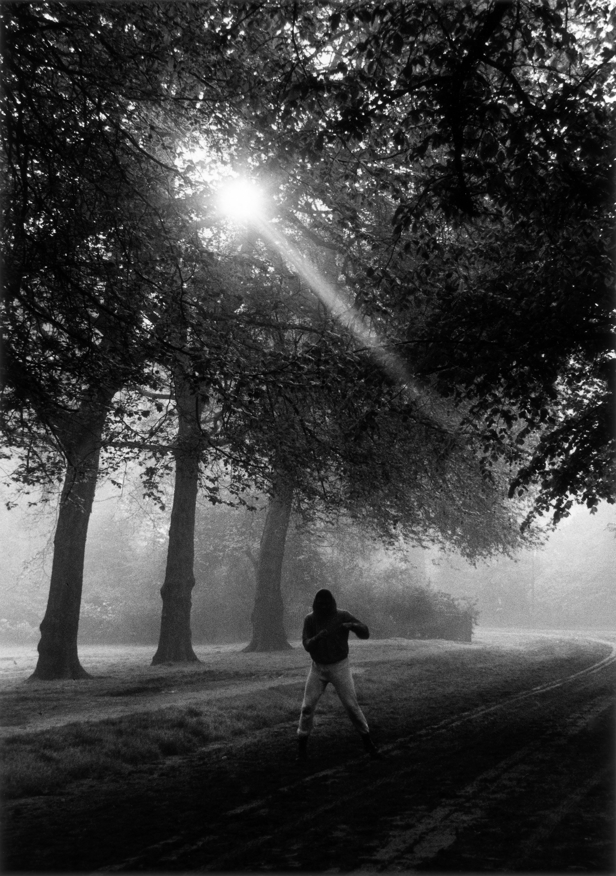 Gordon Parks Part Two Muhammad Ali