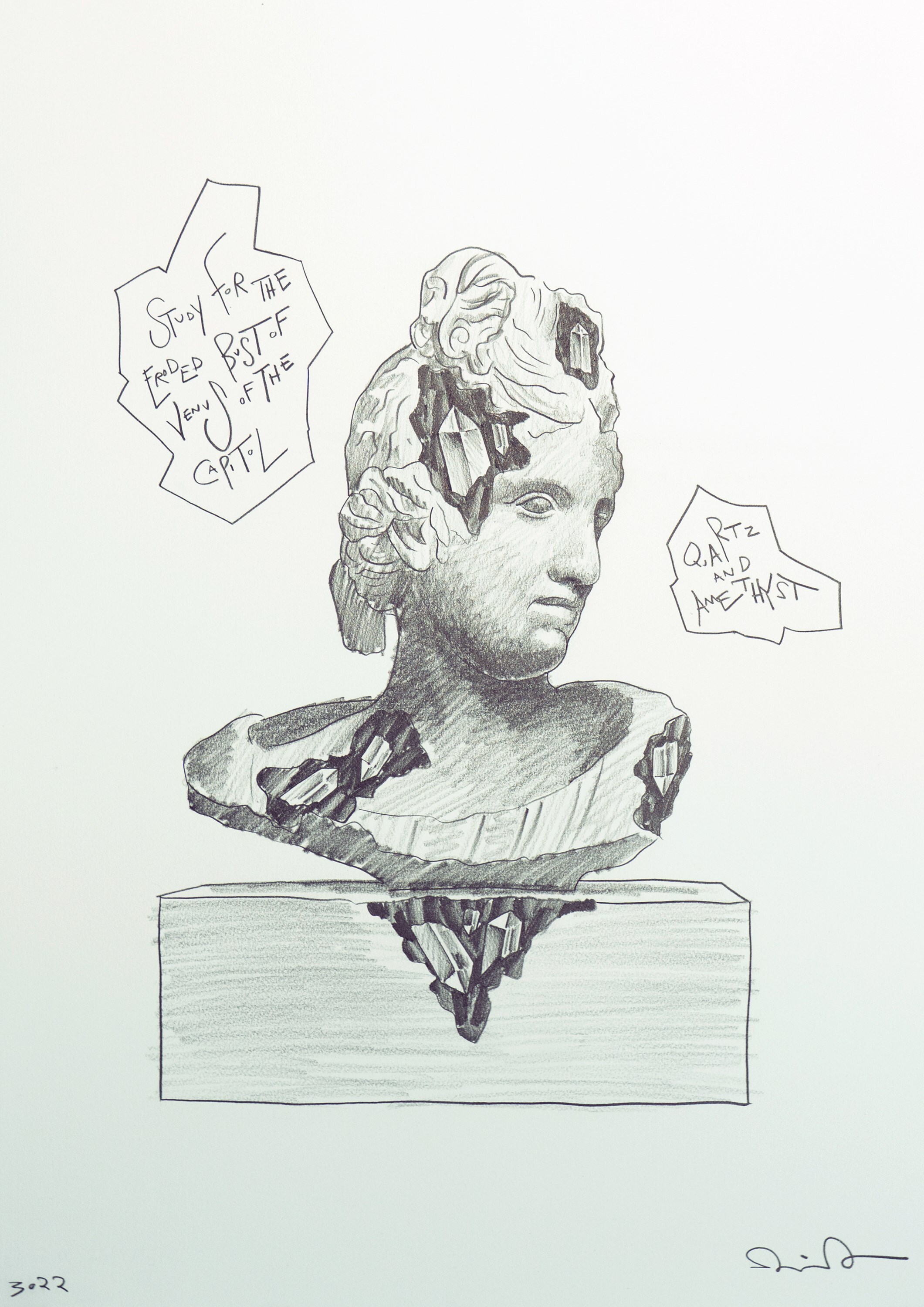 Study for Eroded Bust of Venus of the Capitol (202