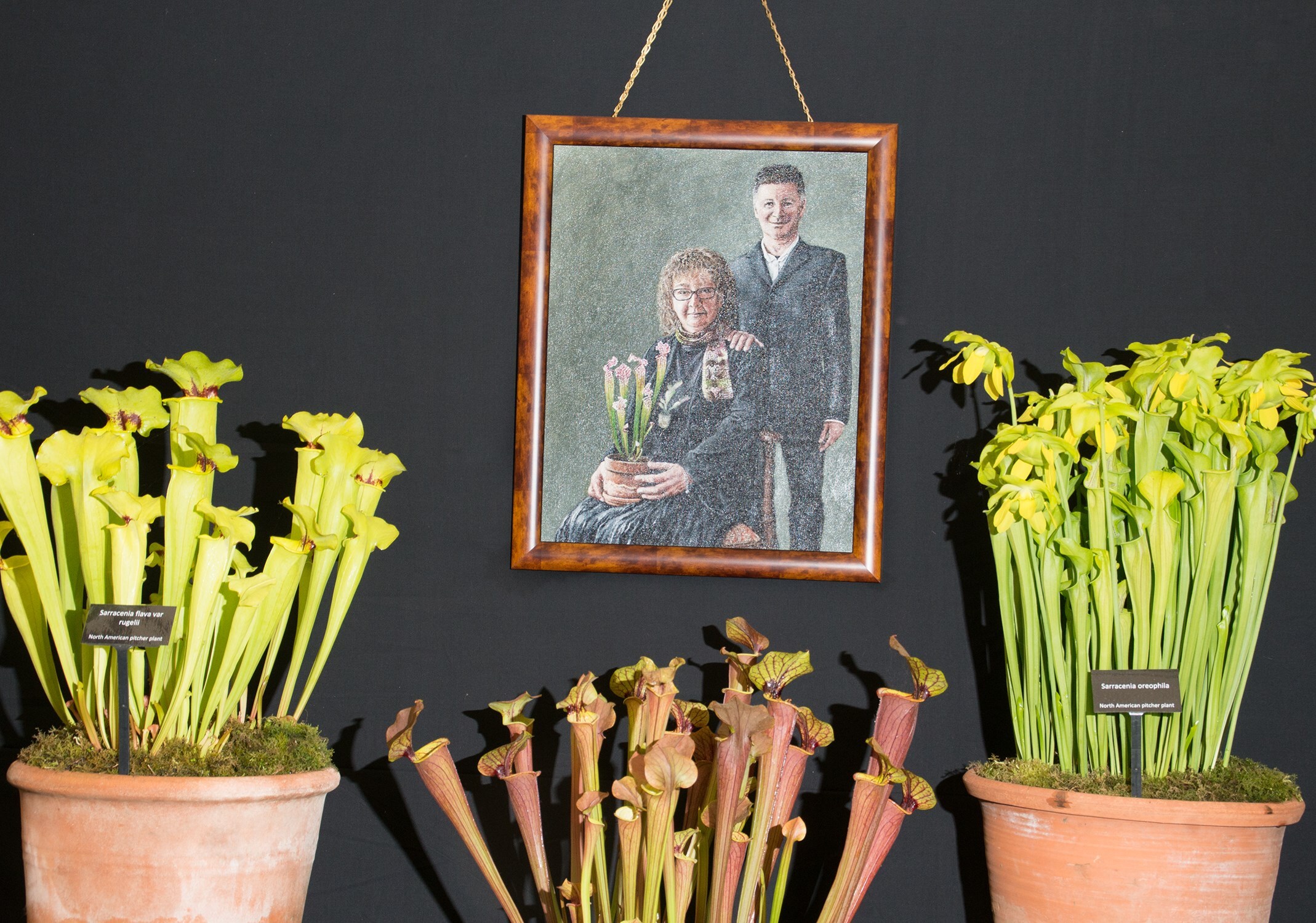 **05_AlexanderCoggin_ChelseaFlowerShow_AnOther