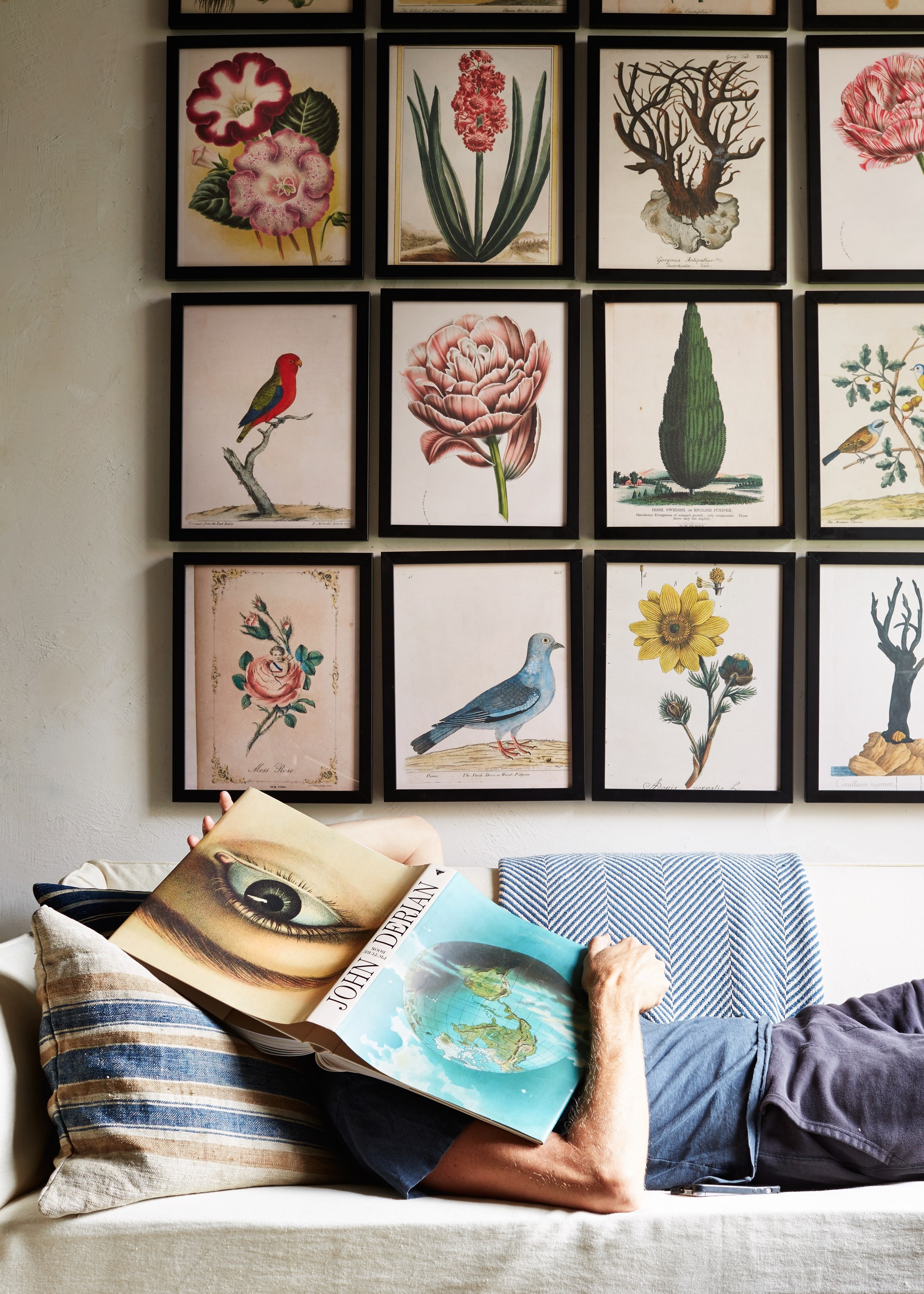John Derian
