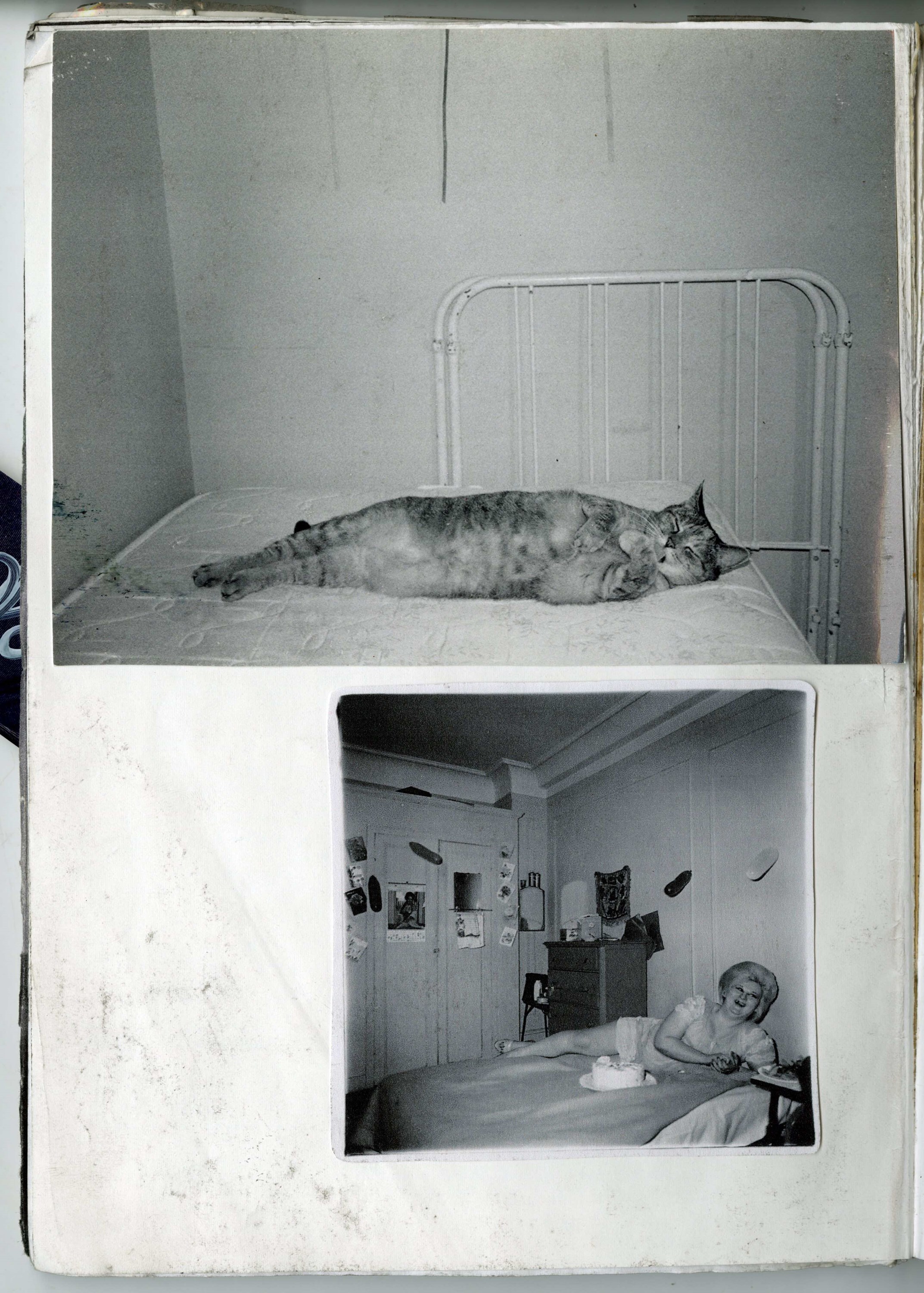 Brett Lloyd photographer Candyland book David Armstrong