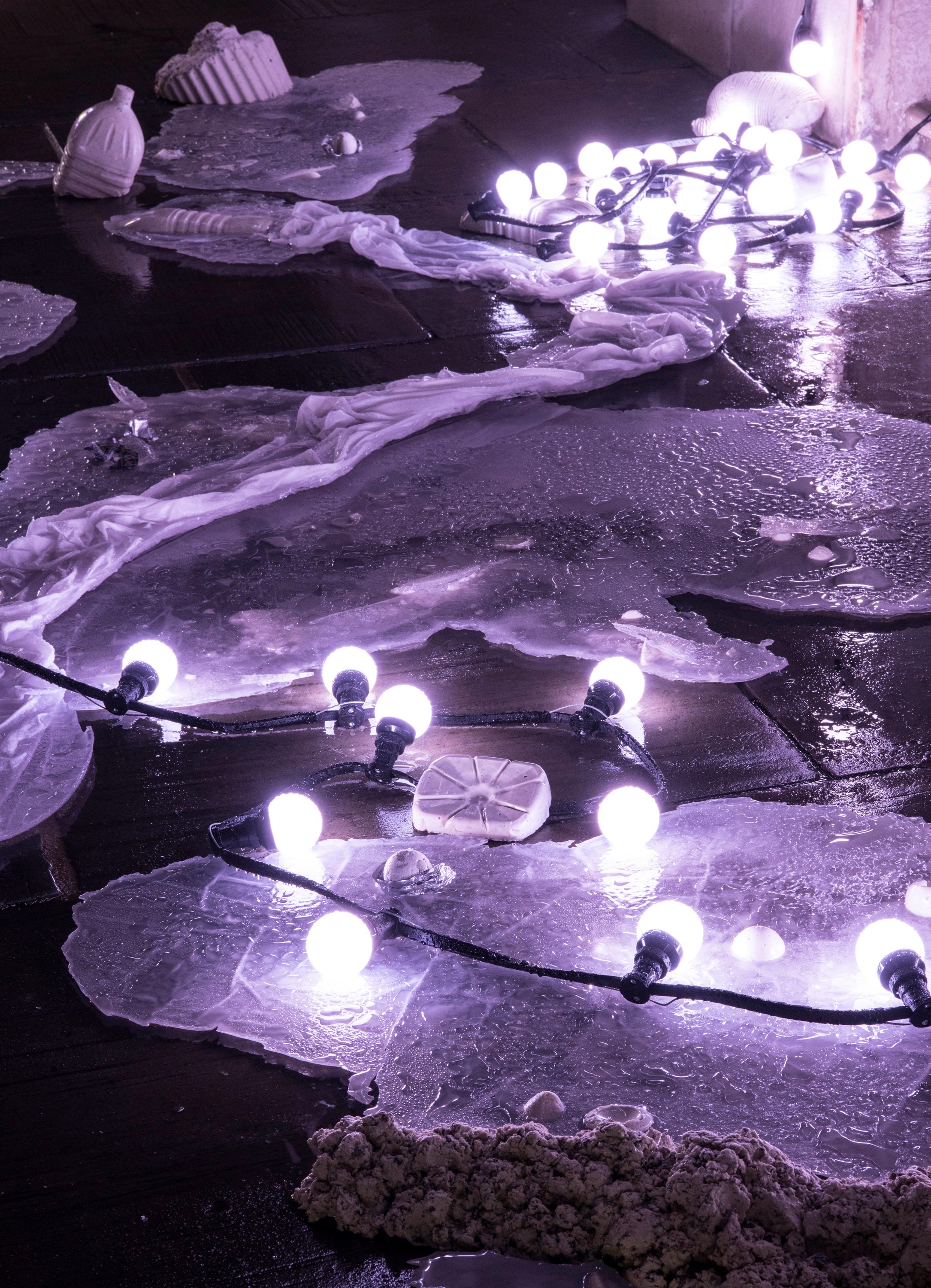 Anne Hardy Winter Commission Installation Tate Britain