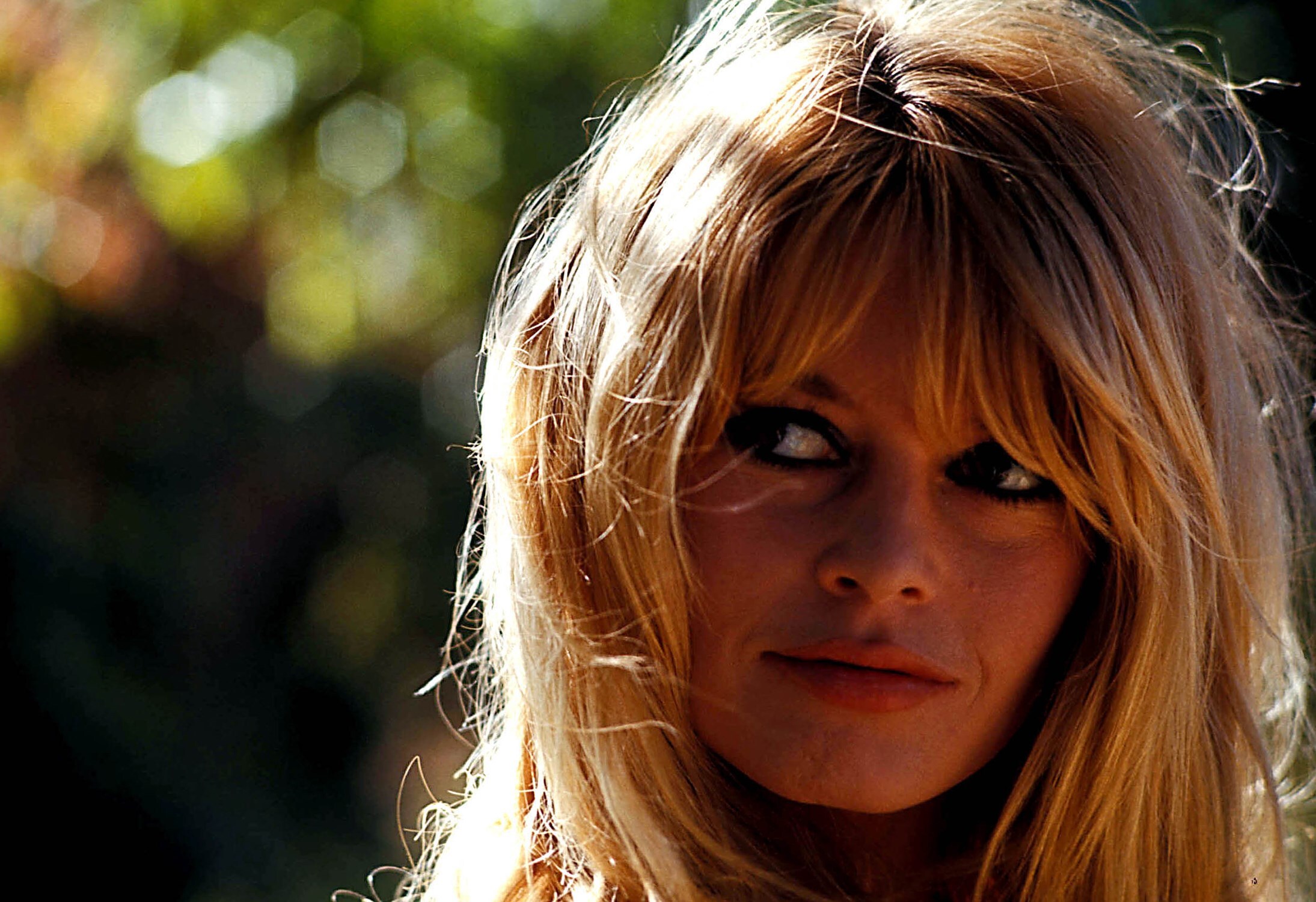 3-BrigitteBardot-1965