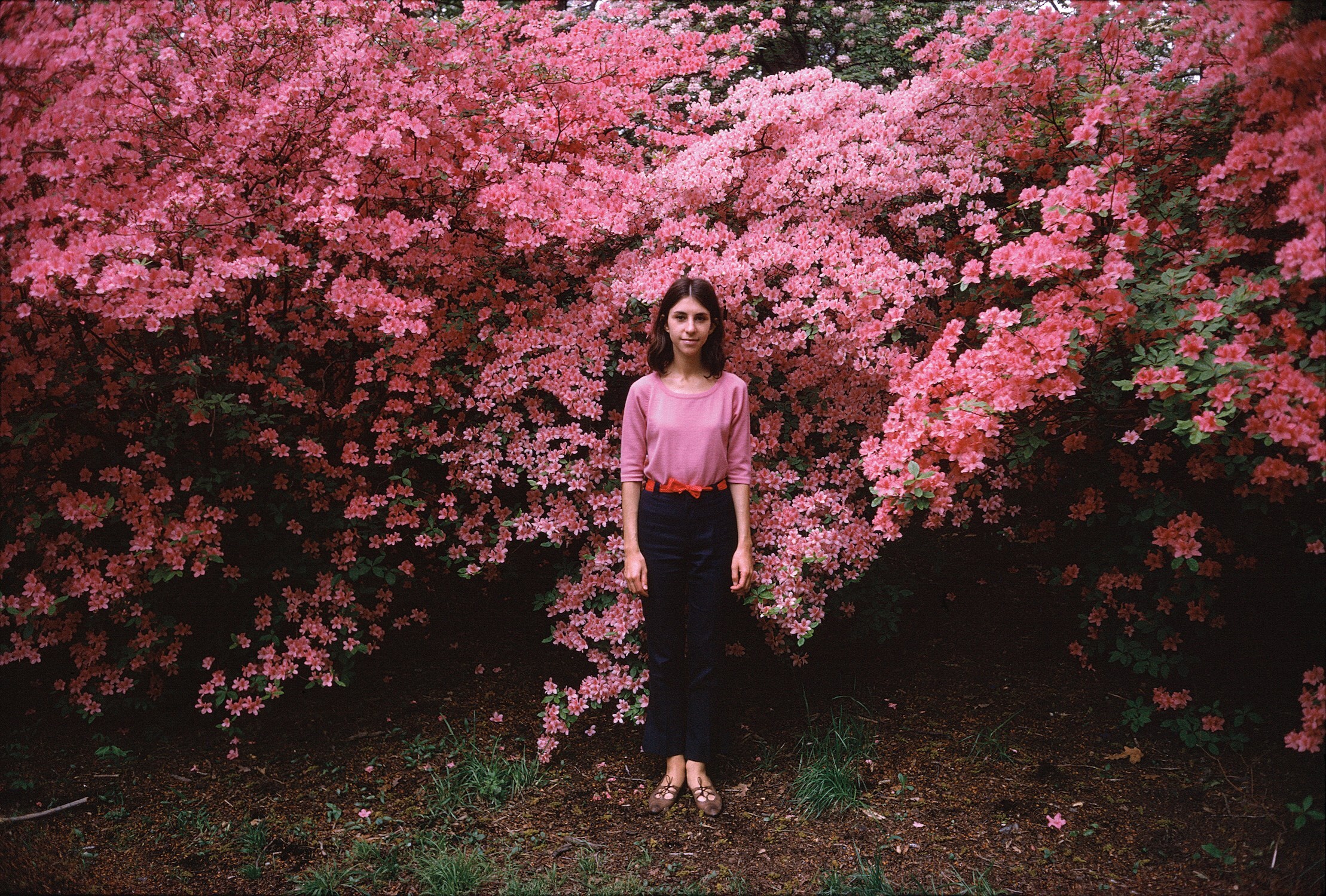 Joel Meyerowitz street photography How I Make Photographs