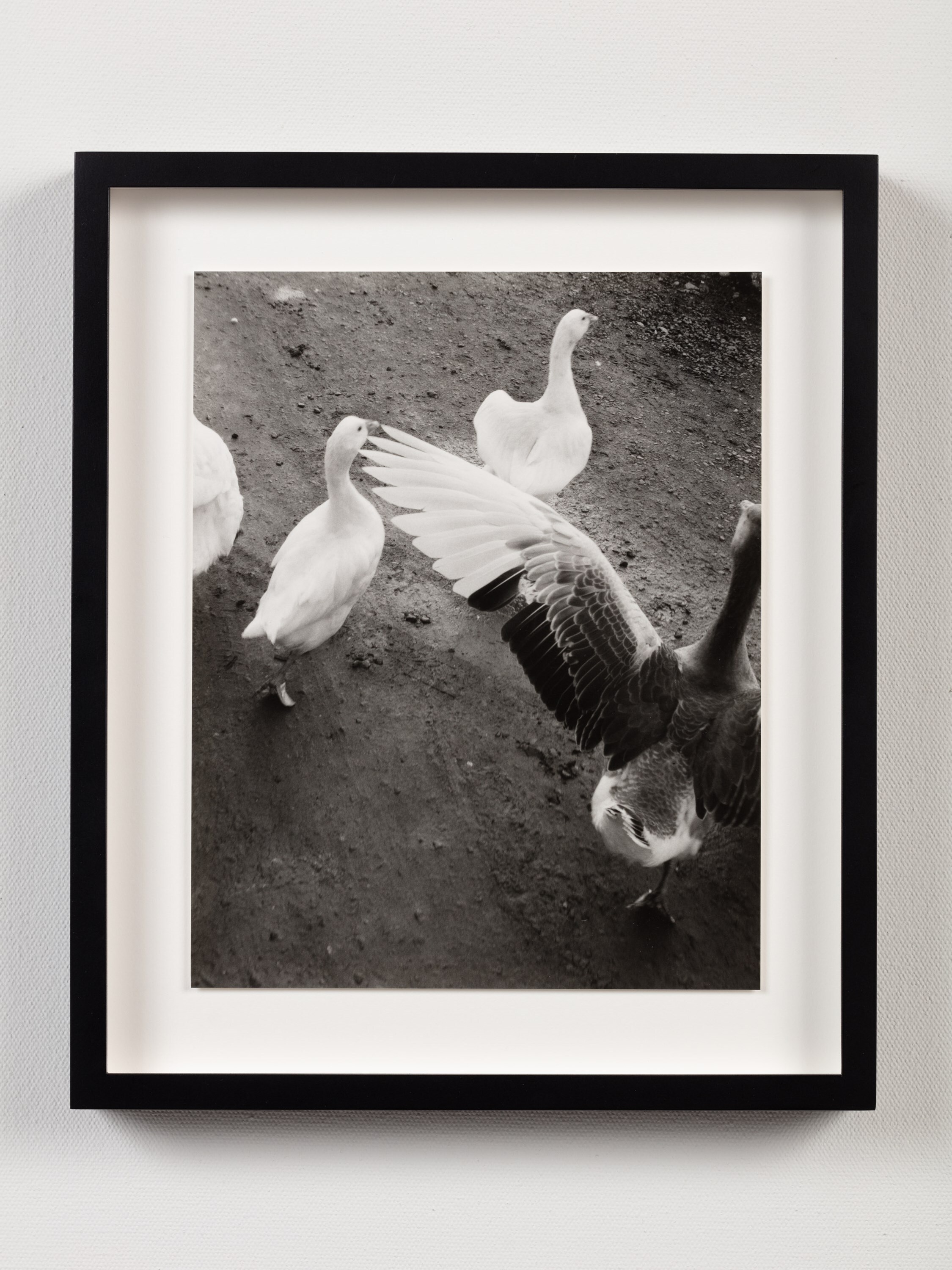 Jamie Hawkesworth A Short Pleasurable Journey Part Two 