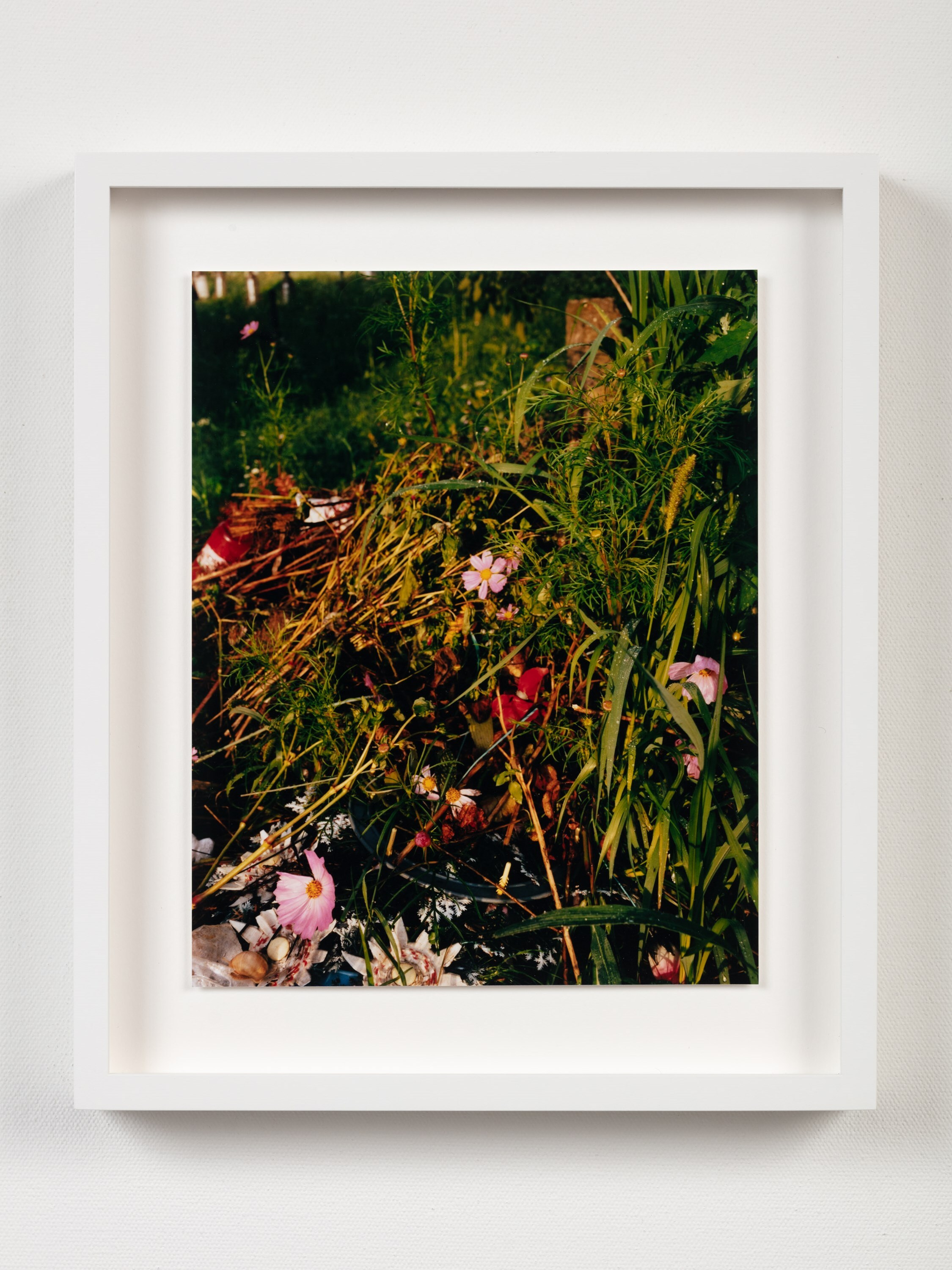 Jamie Hawkesworth A Short Pleasurable Journey Part Two 