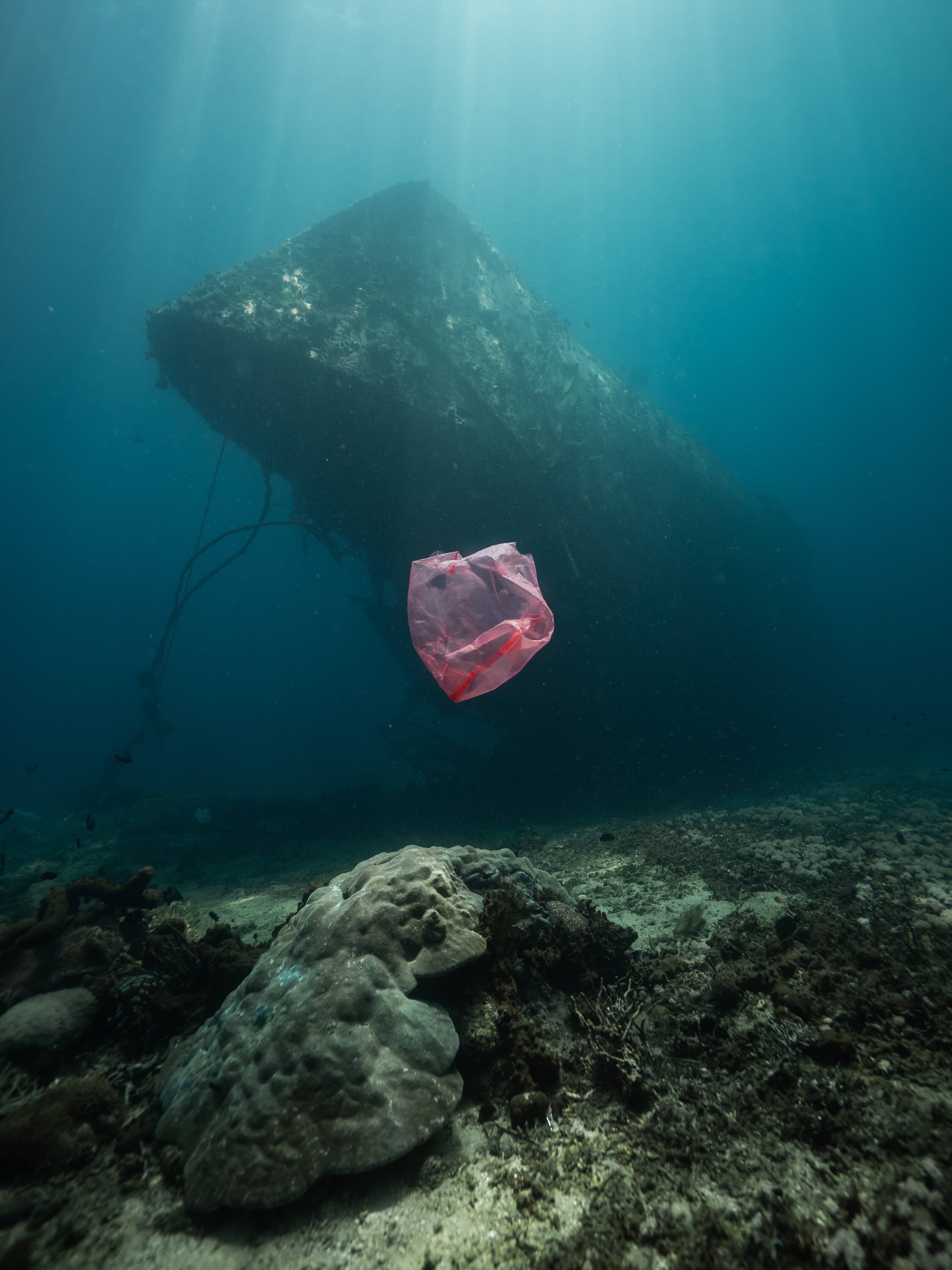 State of the Oceans Parley for the Oceans