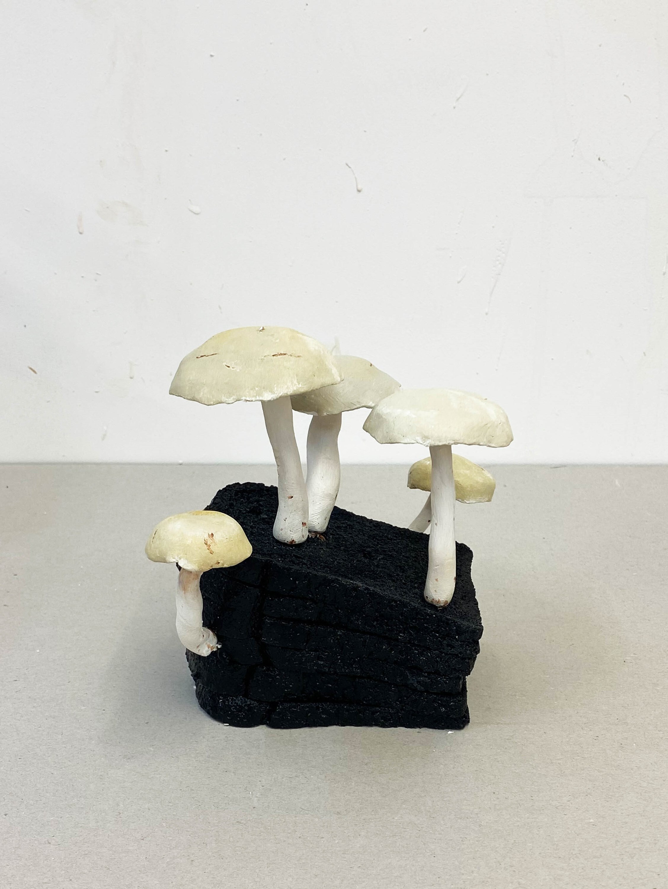 Hamish Pearch