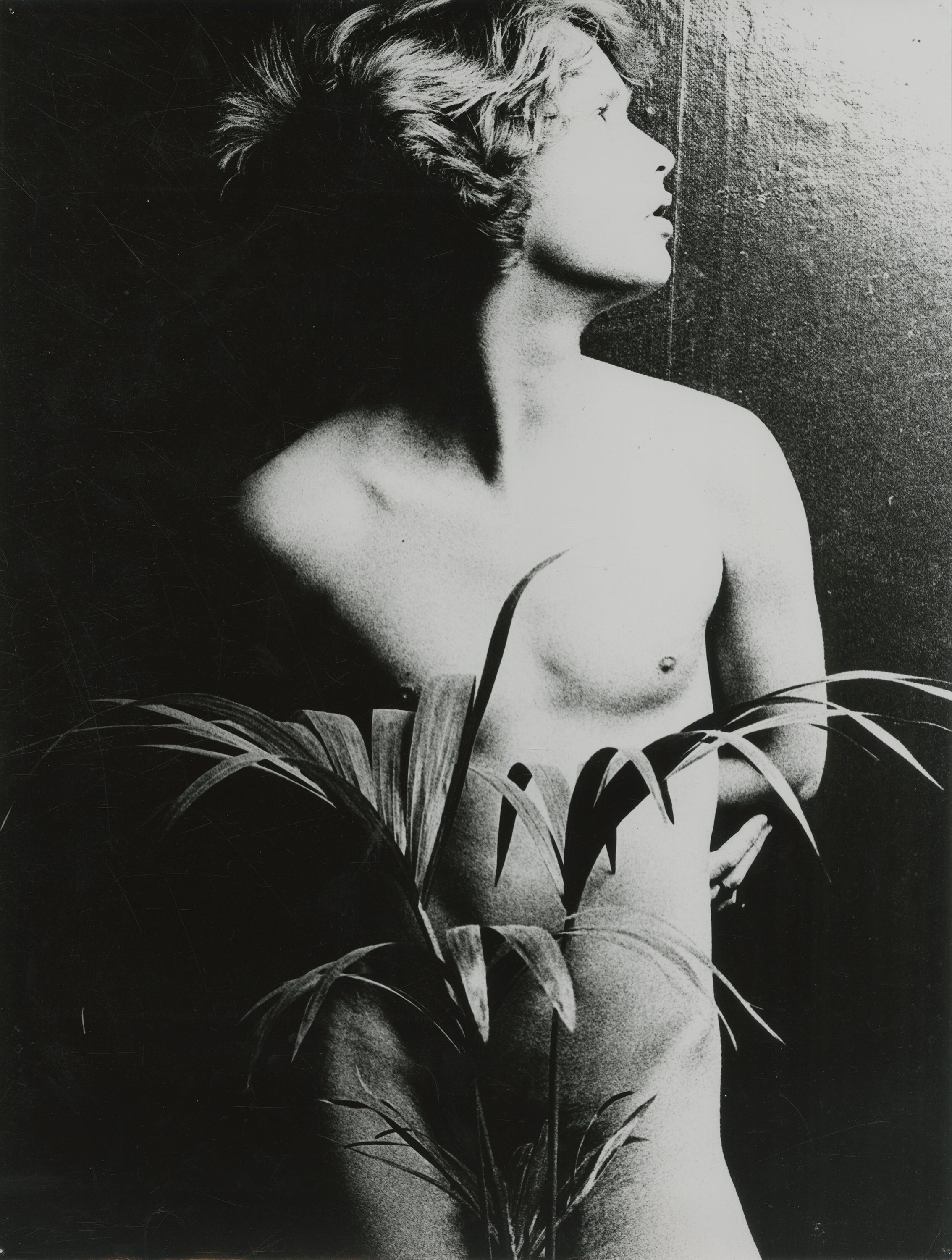 Rush: A Collection of Nudes by Victor Arimondi