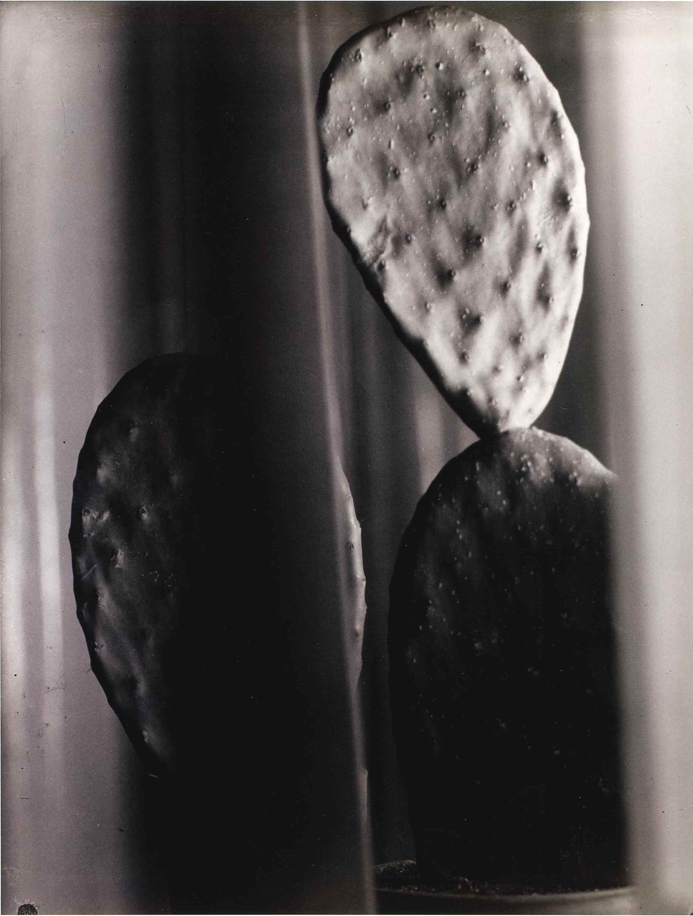 FLORENCE HENRI Cactus, 1931.