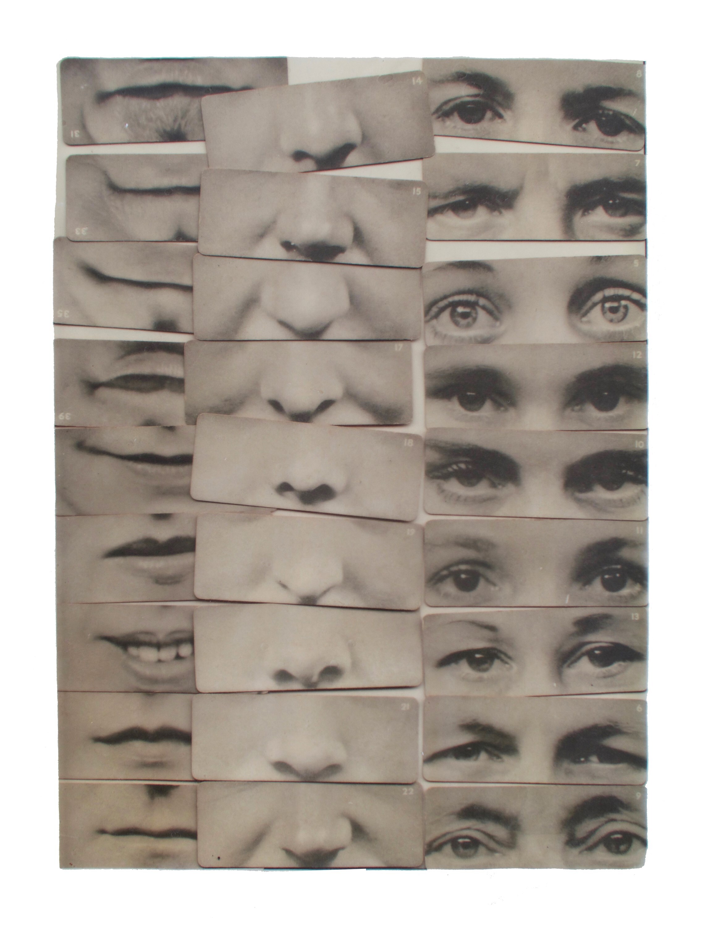 Rachel Libeskind_Desire to collect, 2019