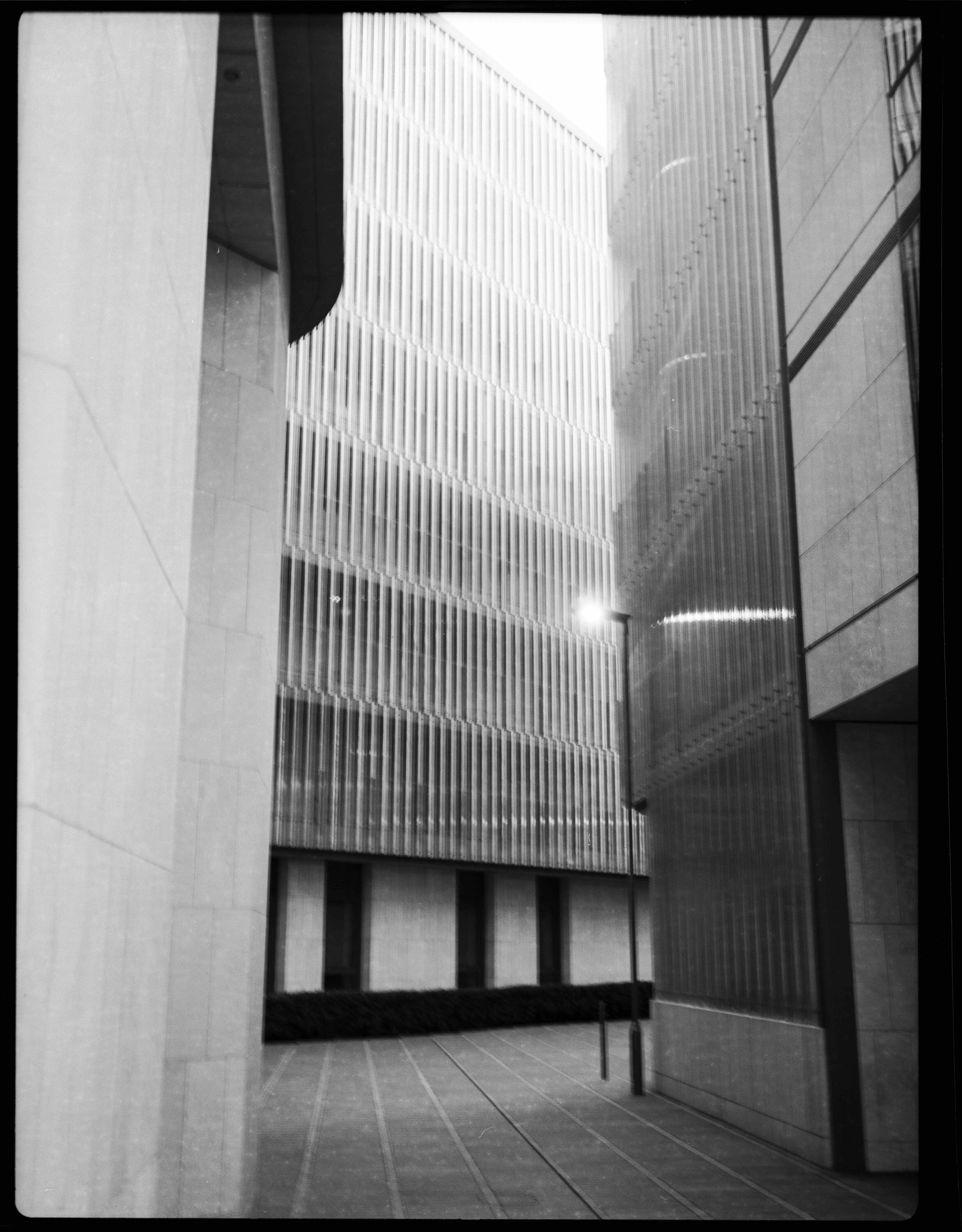 Photography by Eddie Whelan