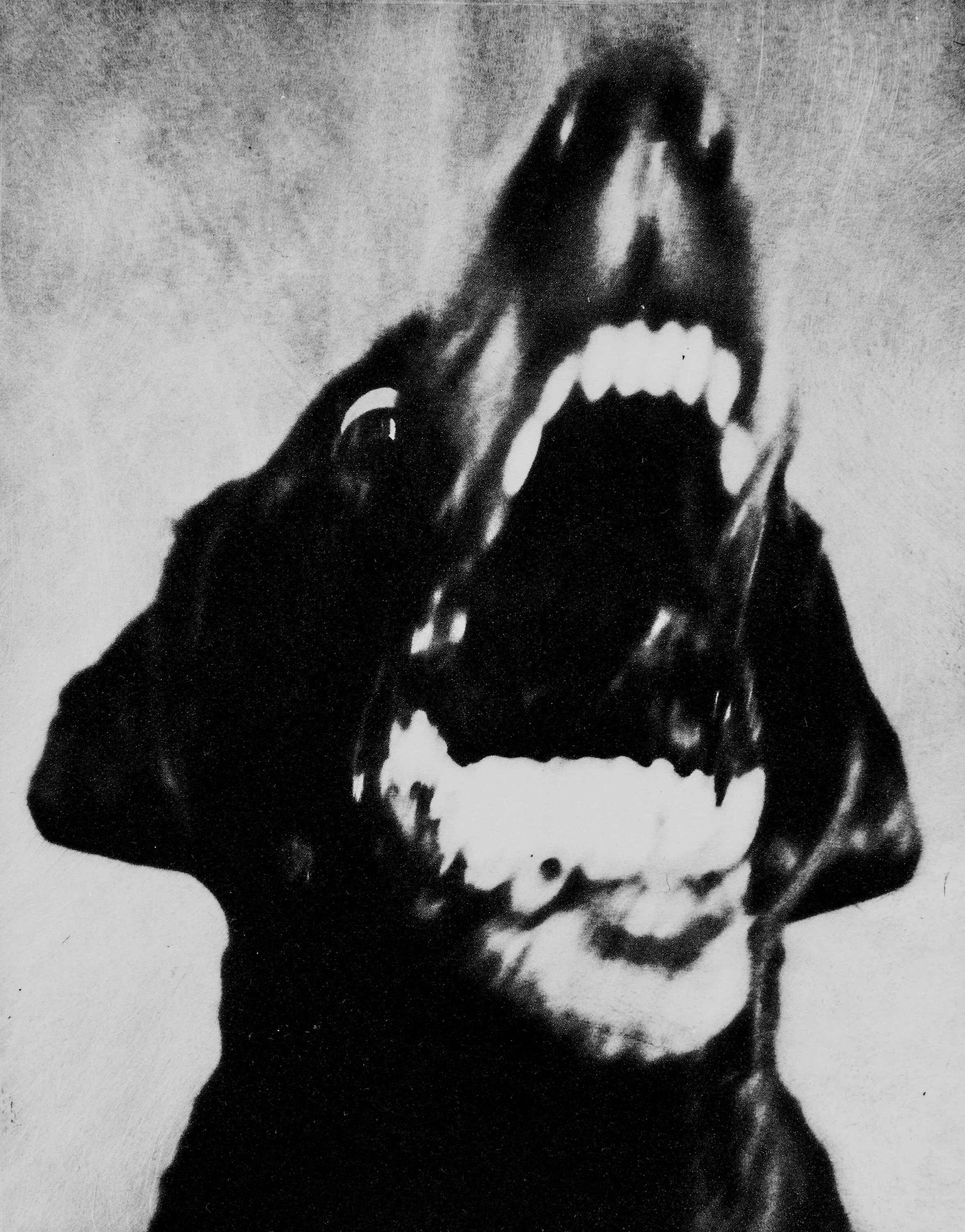 Photographic Etchings by Jack Davison