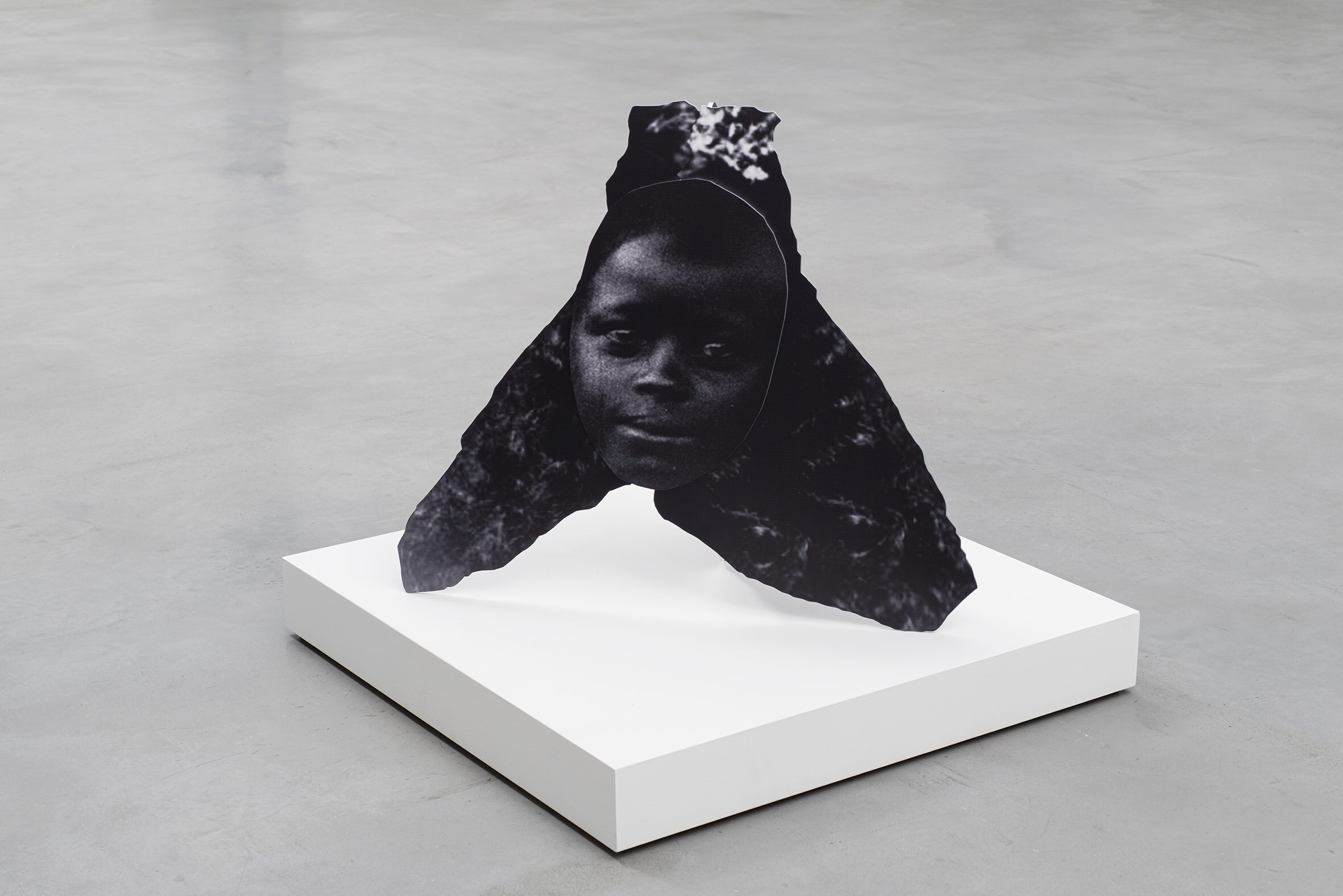 Frida Orupabo, Things I saw at night