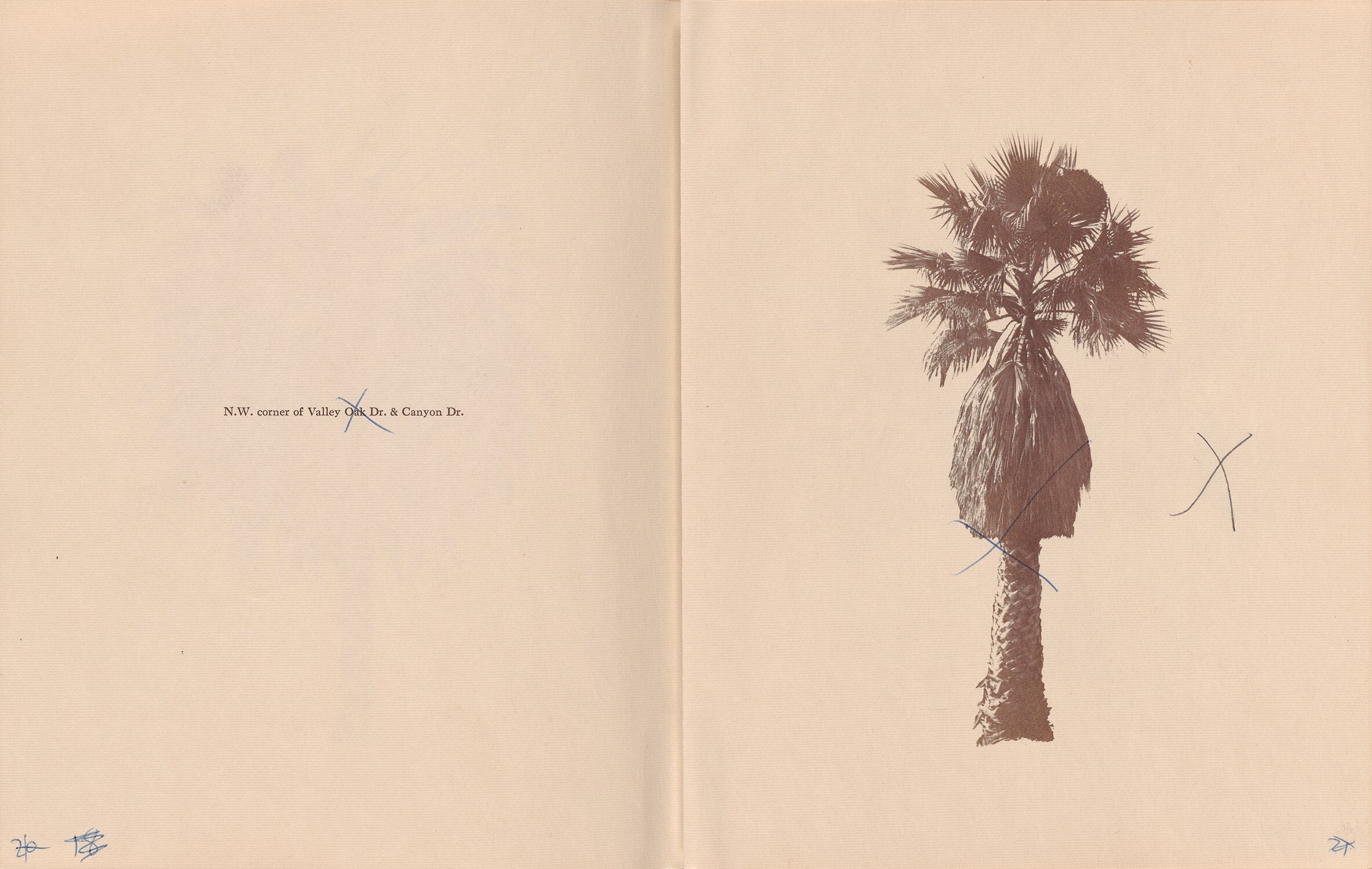 ART_RuschaE_Palm_Trees_dummy_page_26_27_001_300dpi