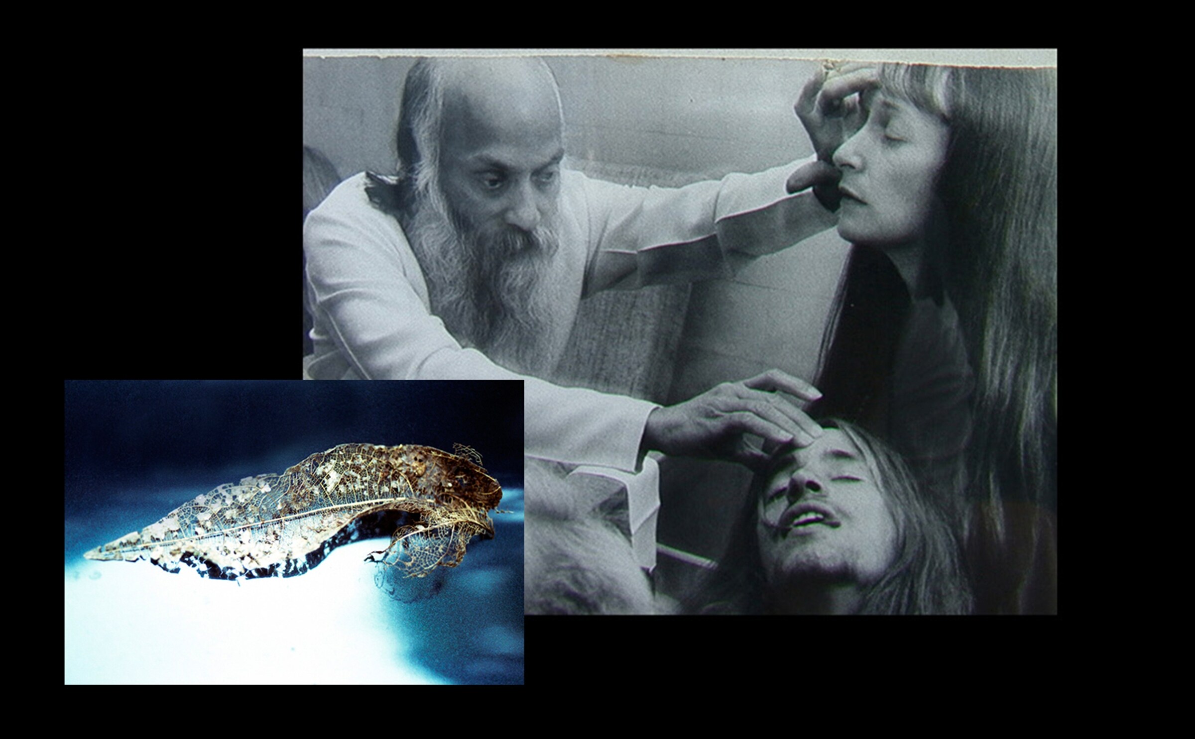 Osho Initiation; Cosmic Leaf