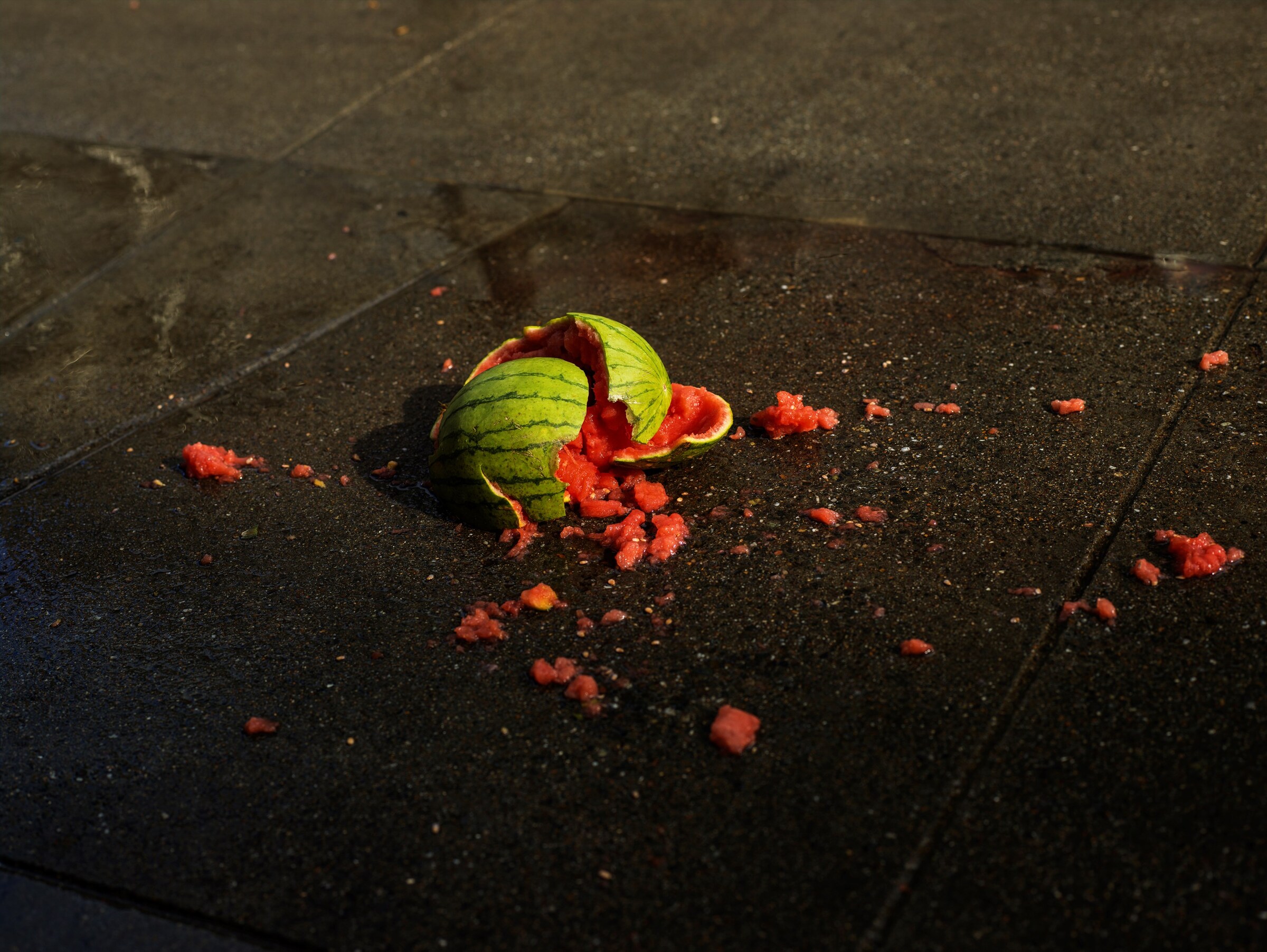 PH-CWF-Watermelon-F1